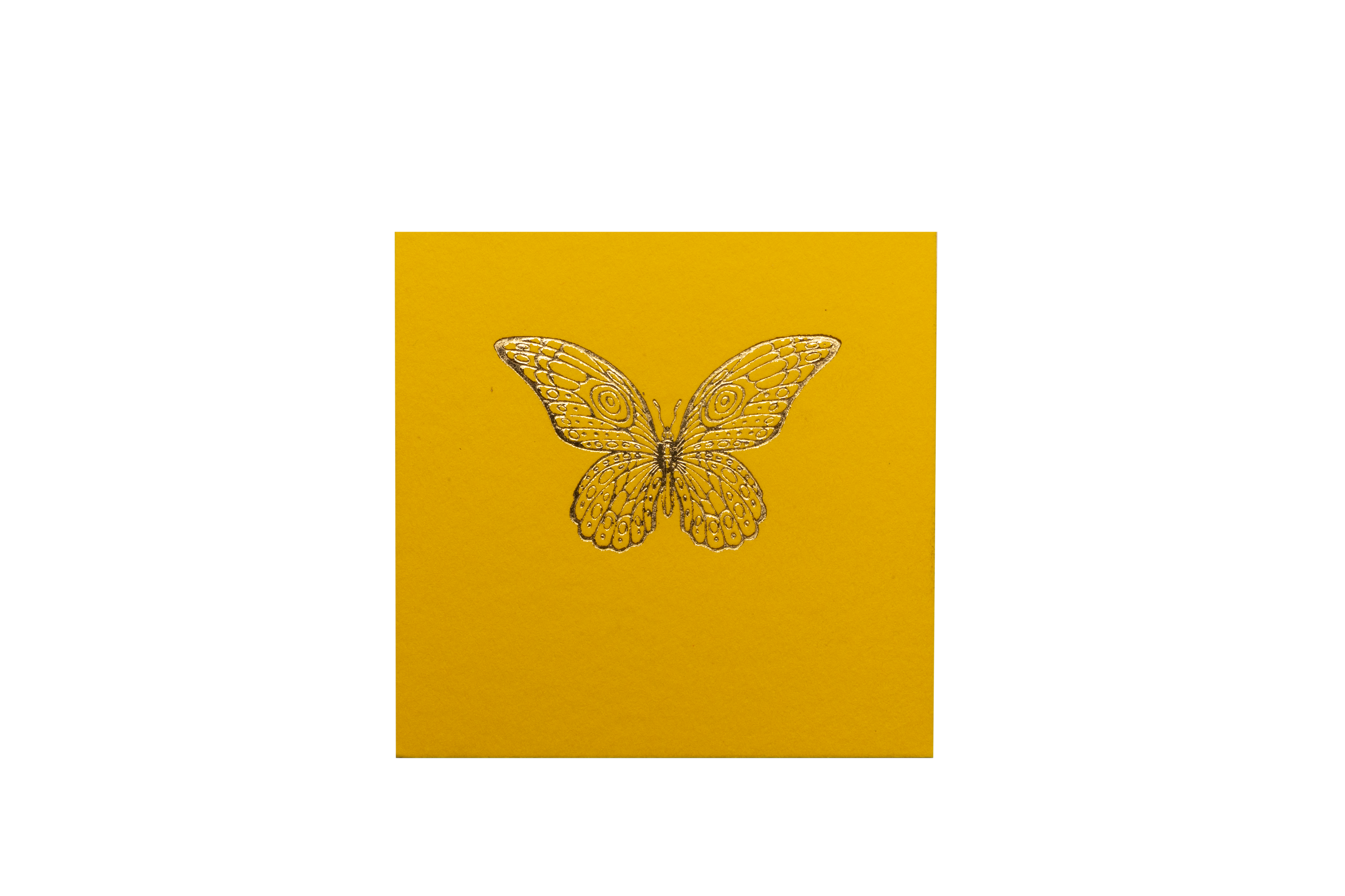 Tarjeta Mariposa Mini