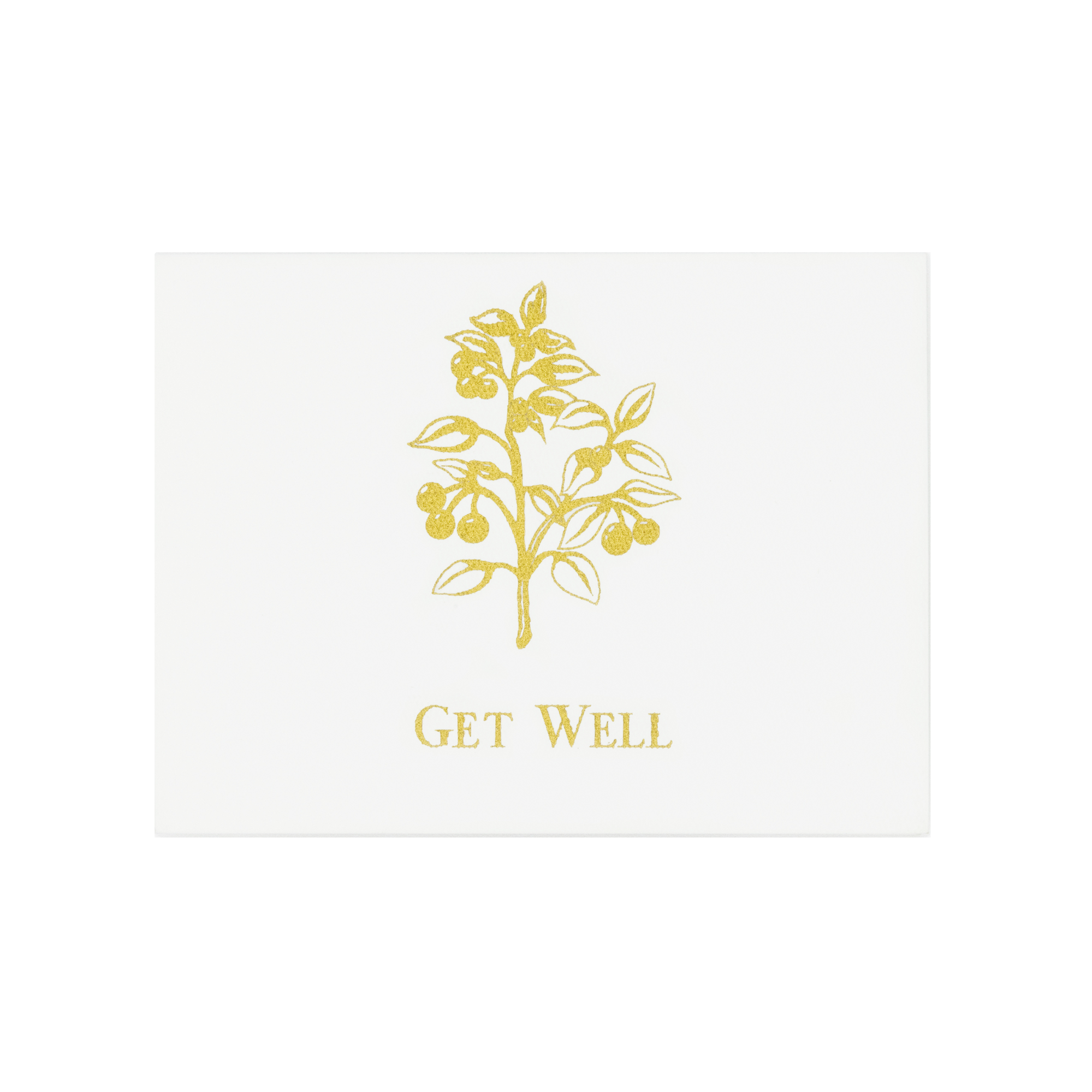 Tarjeta Botánico "Get Well" | TARJETAS | Scribanus
