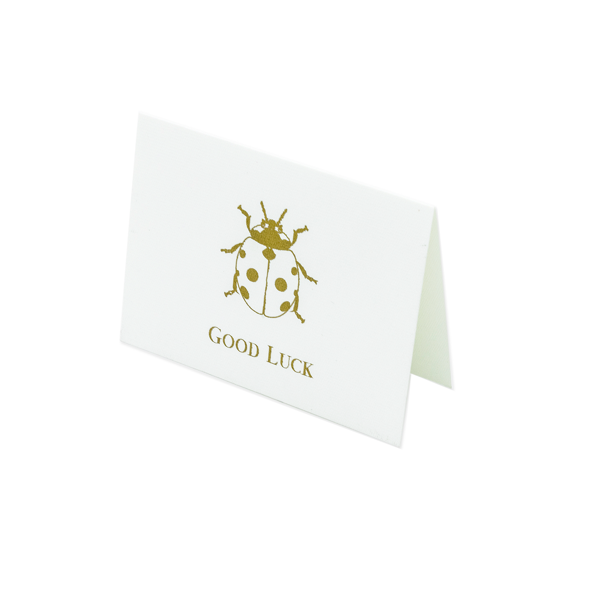 Tarjeta Catarina "Best Wishes" | TARJETAS | Scribanus