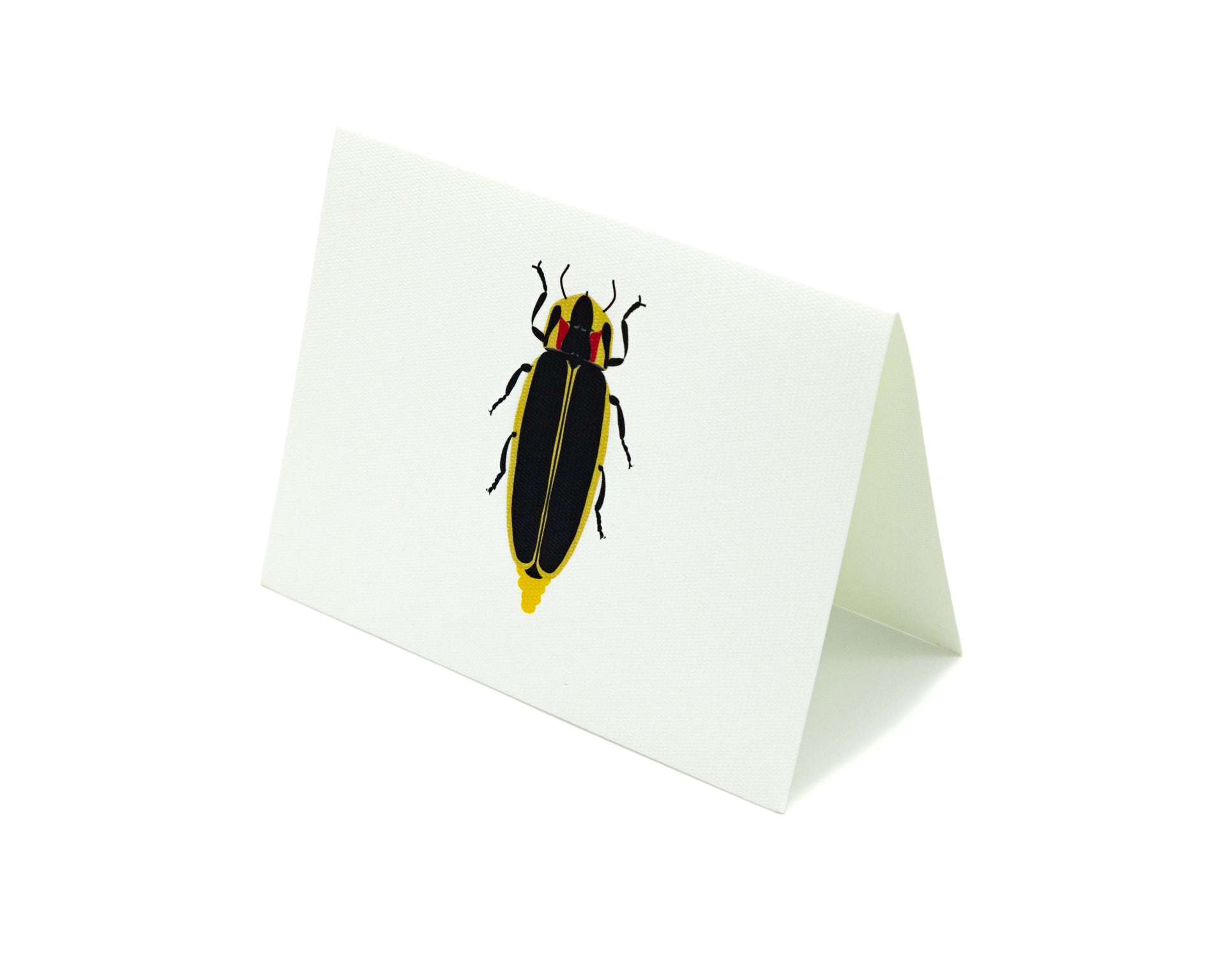 Tarjeta Chicharra Mediana | INSECTOS | Scribanus