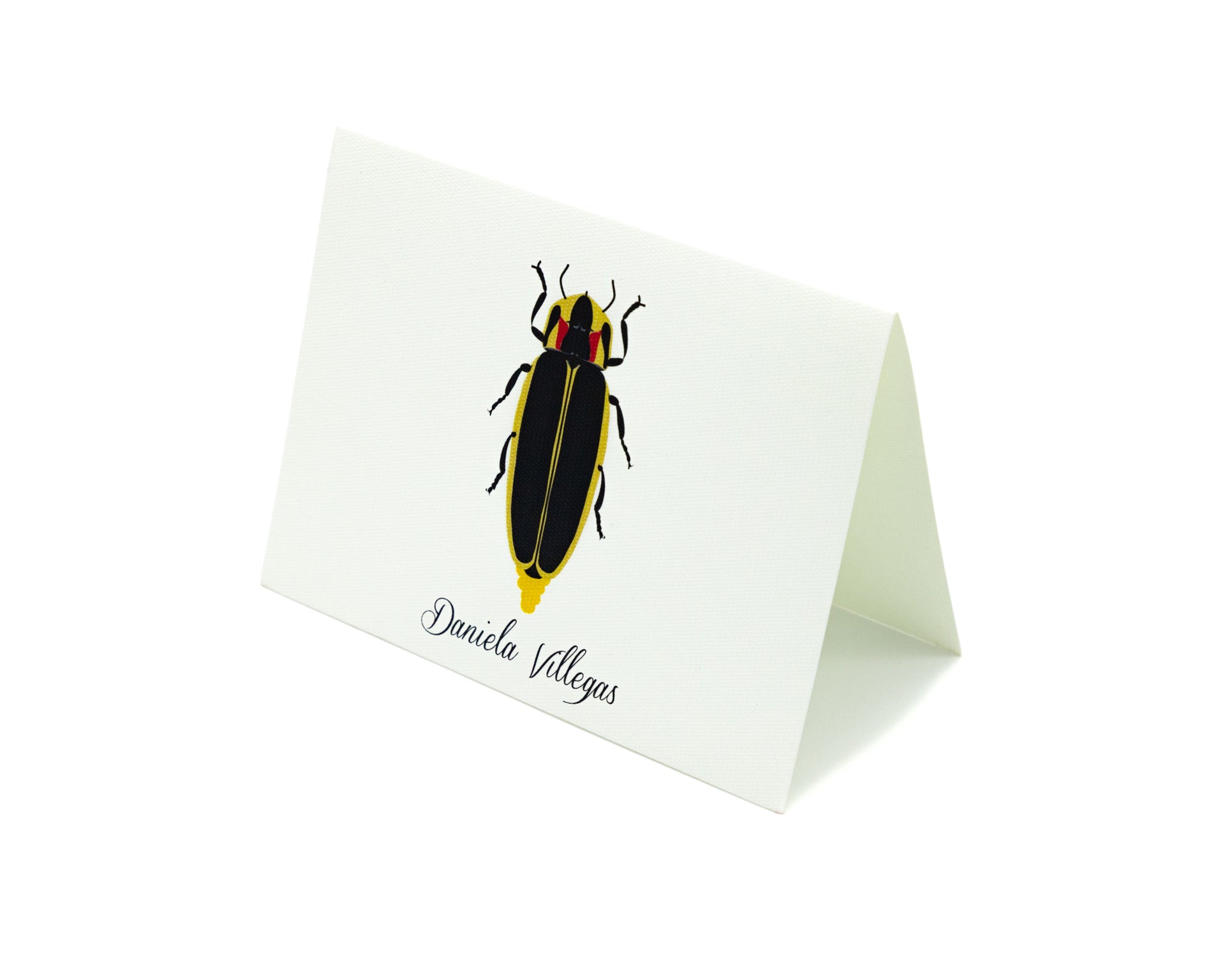 Tarjeta Chicharra Mediana | INSECTOS | Scribanus
