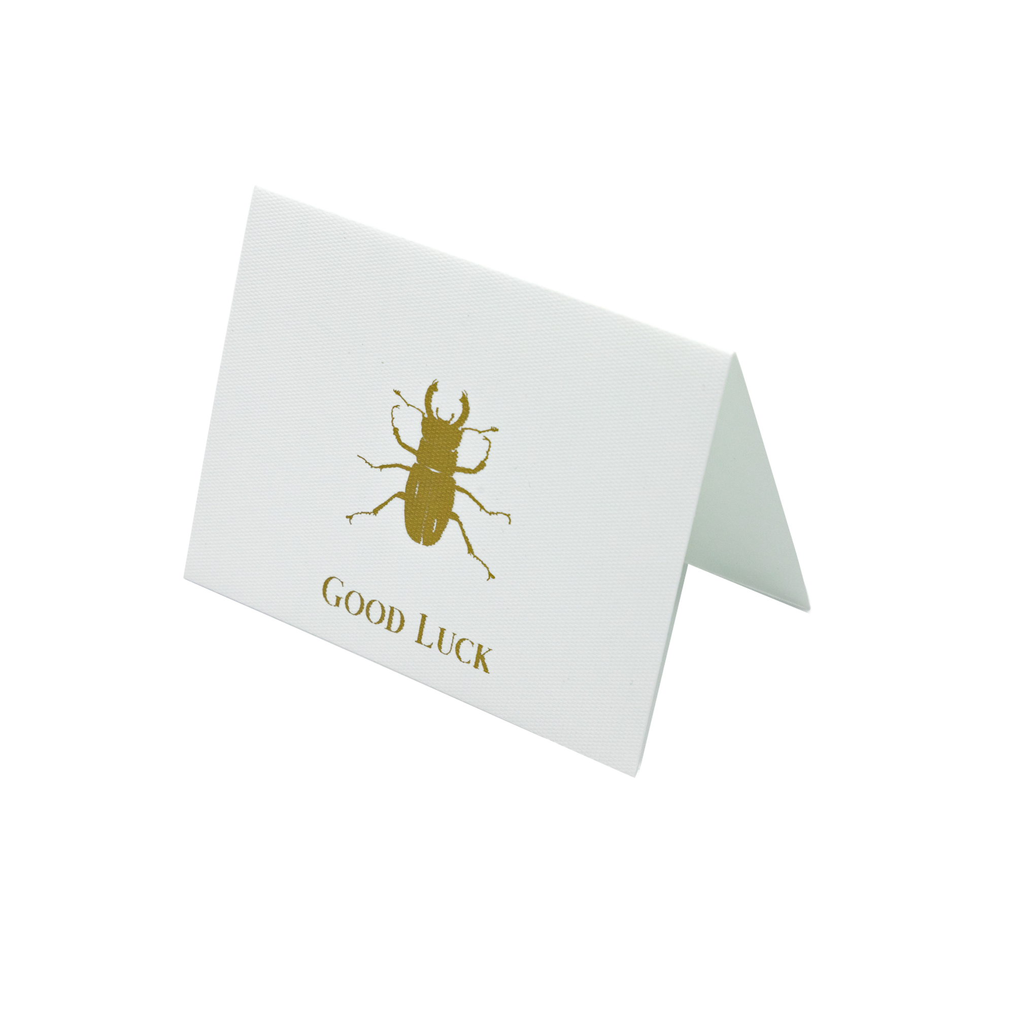 Tarjeta Escarabajo "Good Luck" | TARJETAS | Scribanus