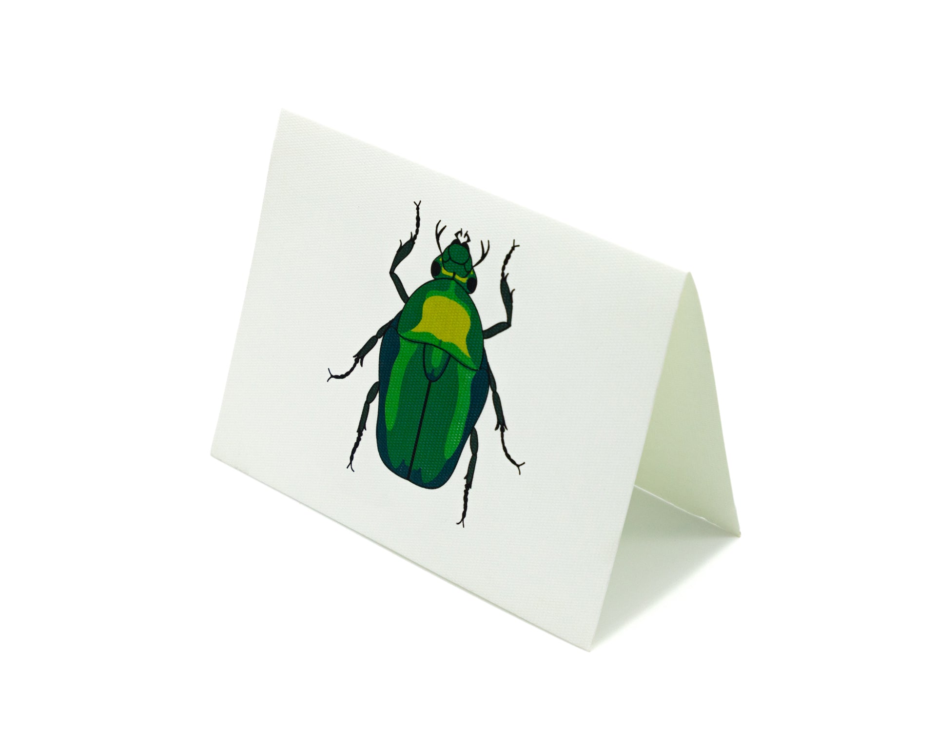 Tarjeta Escarabajo Mediana | INSECTOS | Scribanus