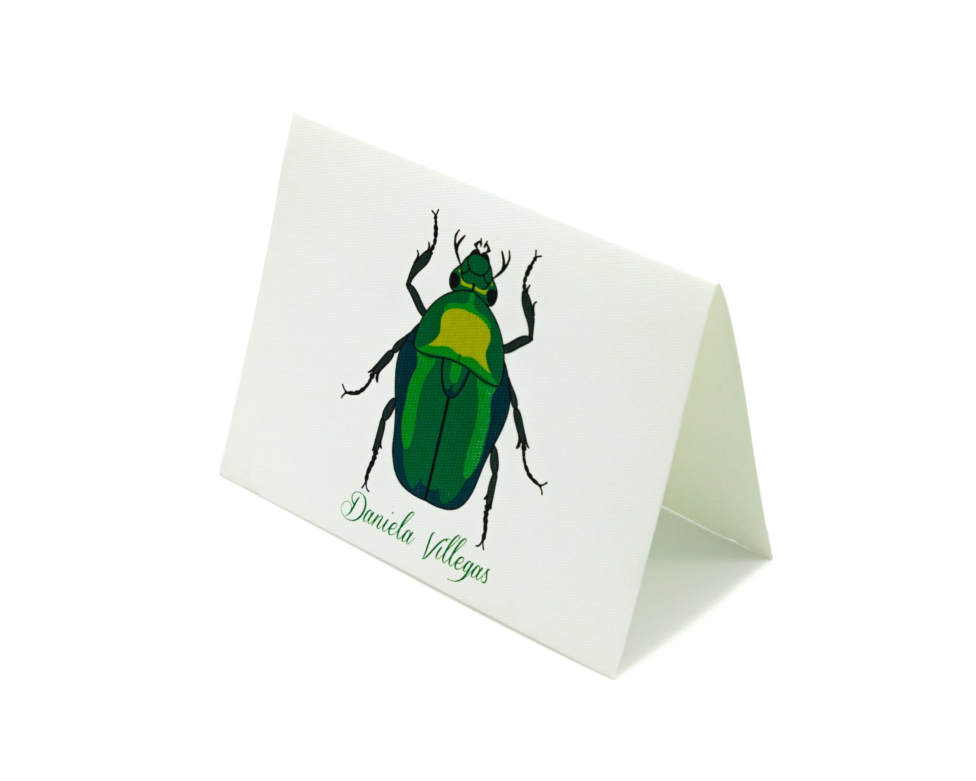 Tarjeta Escarabajo Mediana | INSECTOS | Scribanus