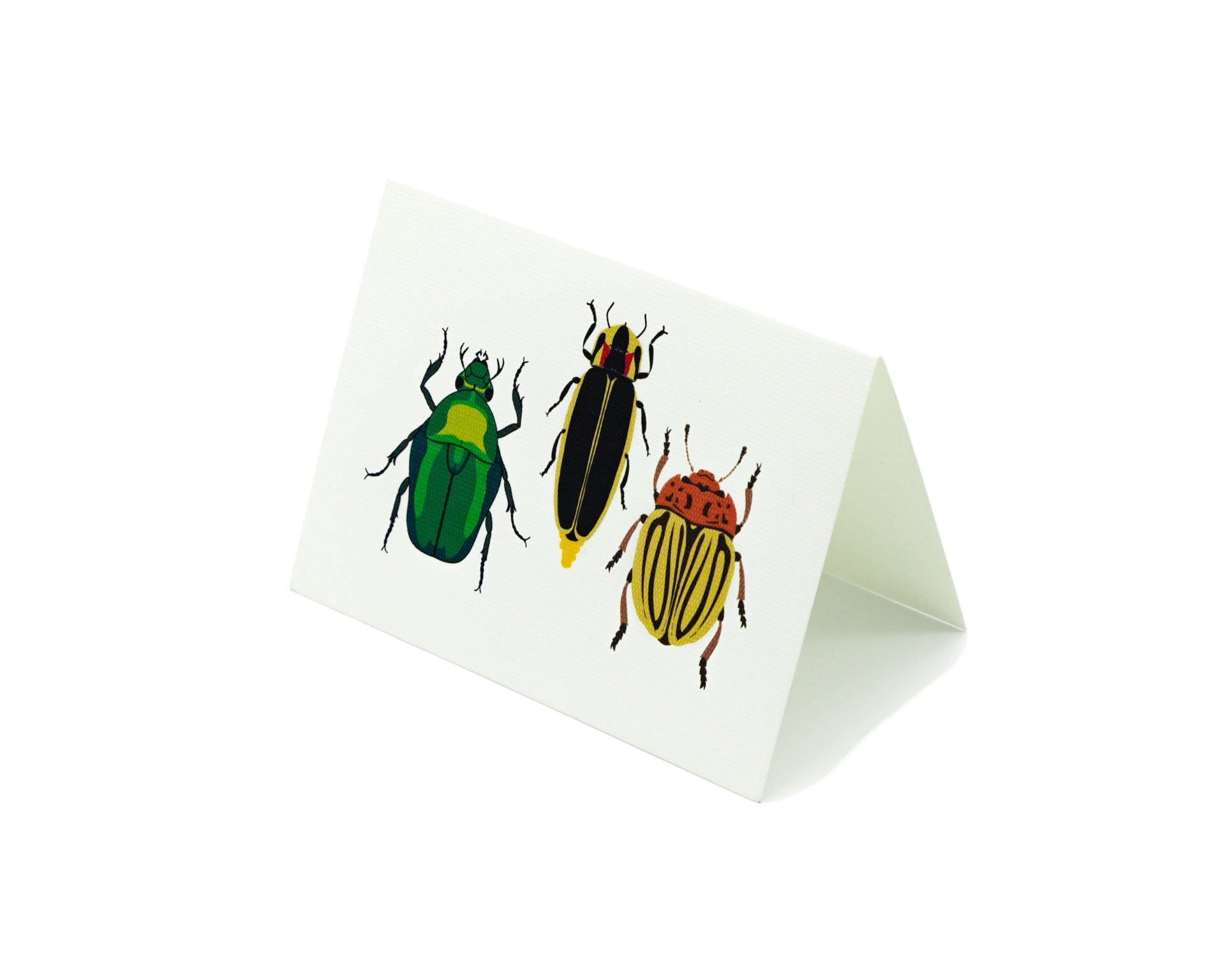 Tarjeta Escarabajos Chicharra Mediana | P: Estampados Personalizados | Scribanus
