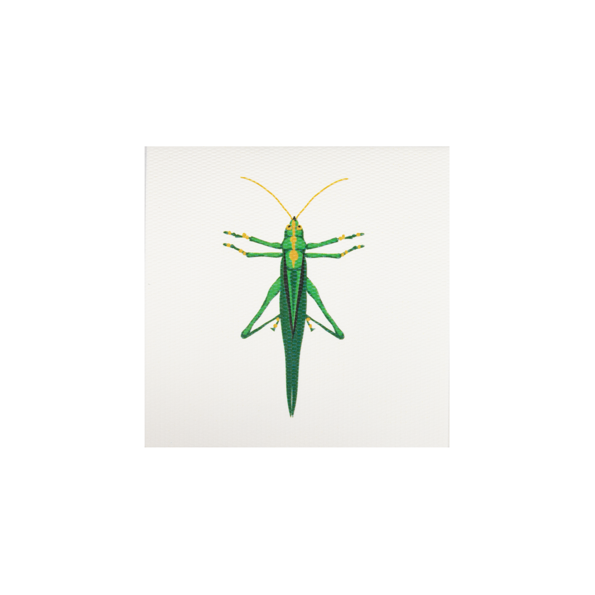Tarjeta Grillo Mini | INSECTOS | Scribanus