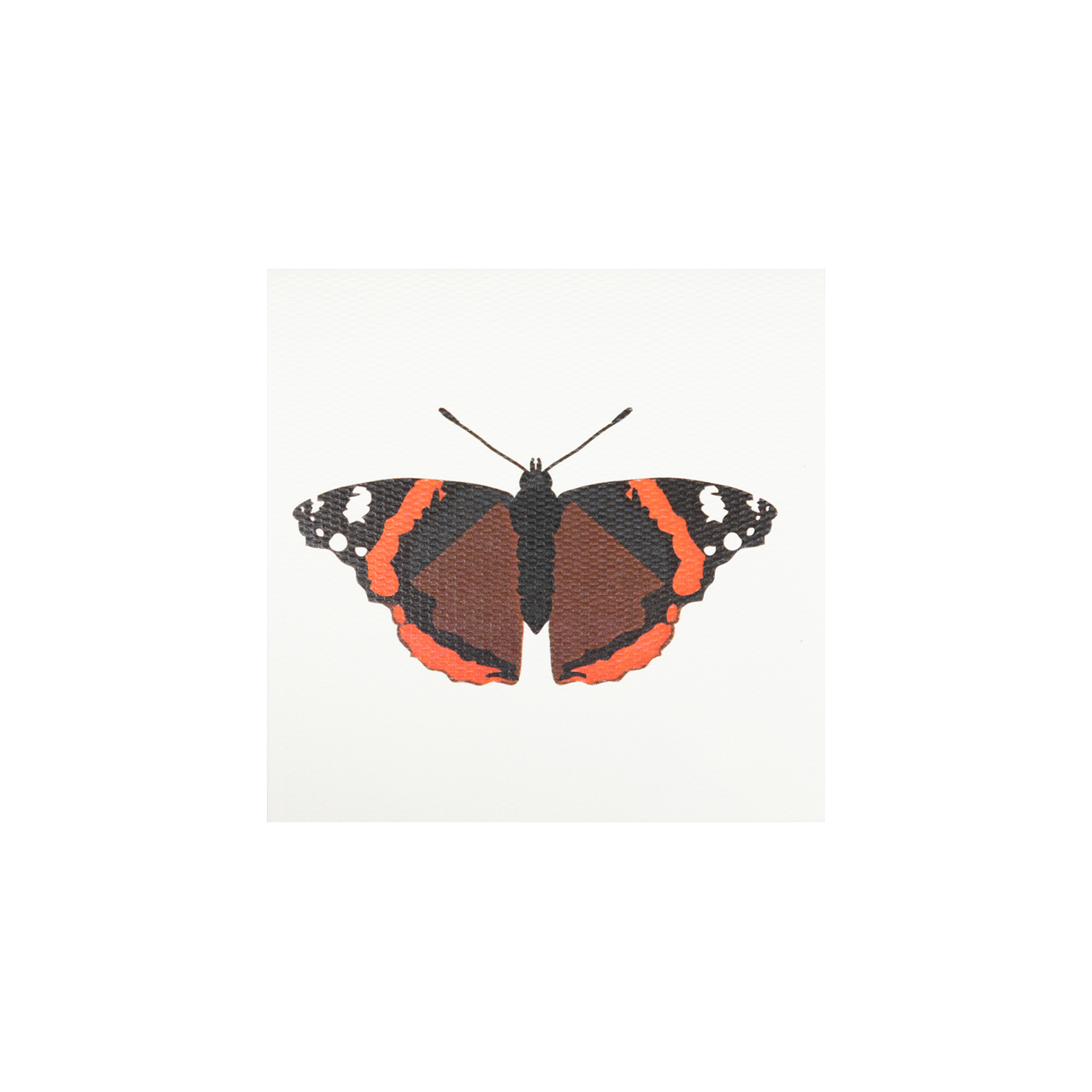 Tarjeta Mariposa Mini | INSECTOS | Scribanus