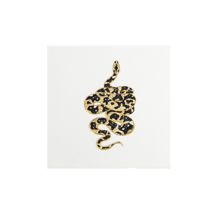 Tarjeta Serpiente Mini Doble | NATURALEZA | Scribanus
