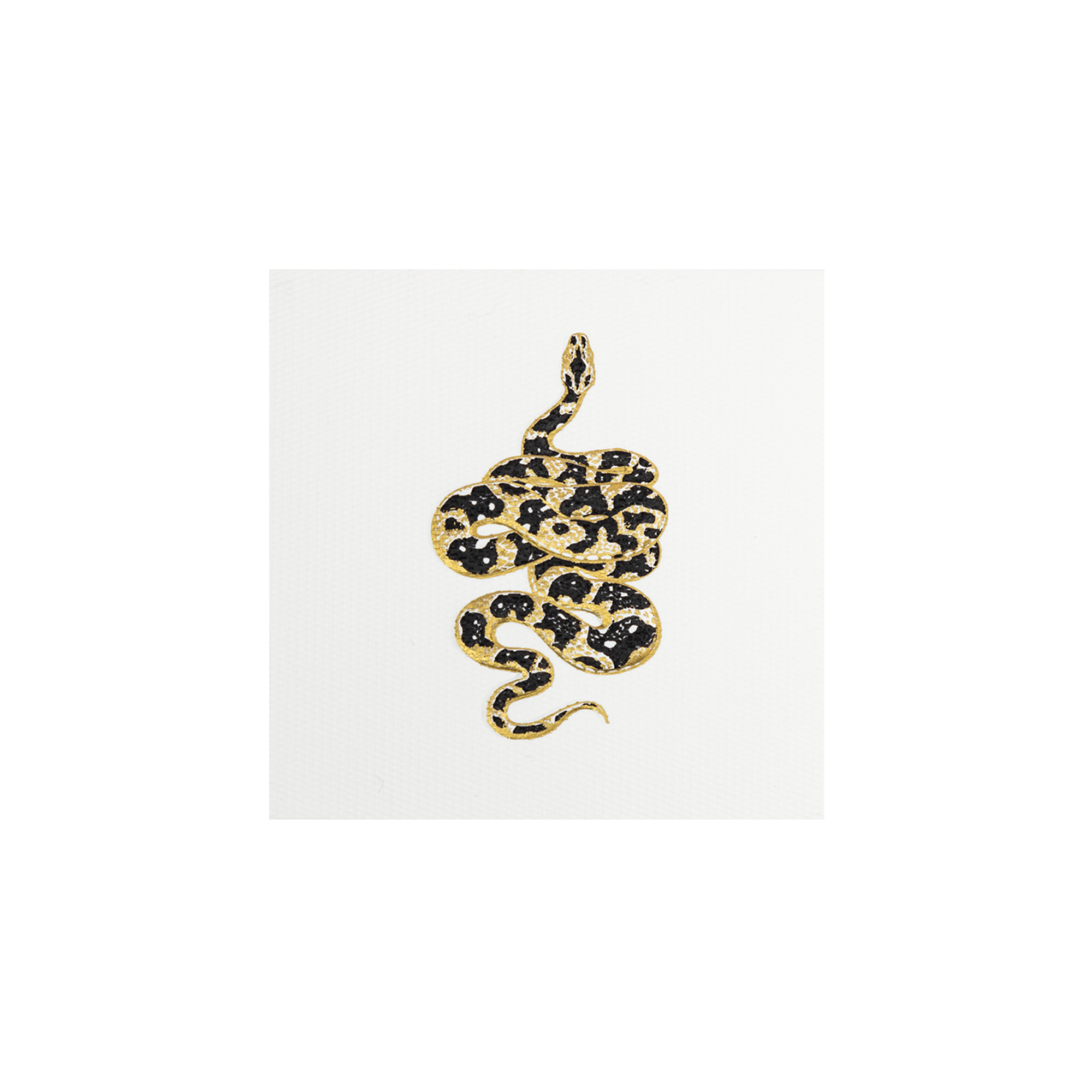 Tarjeta Serpiente Mini Doble | NATURALEZA | Scribanus