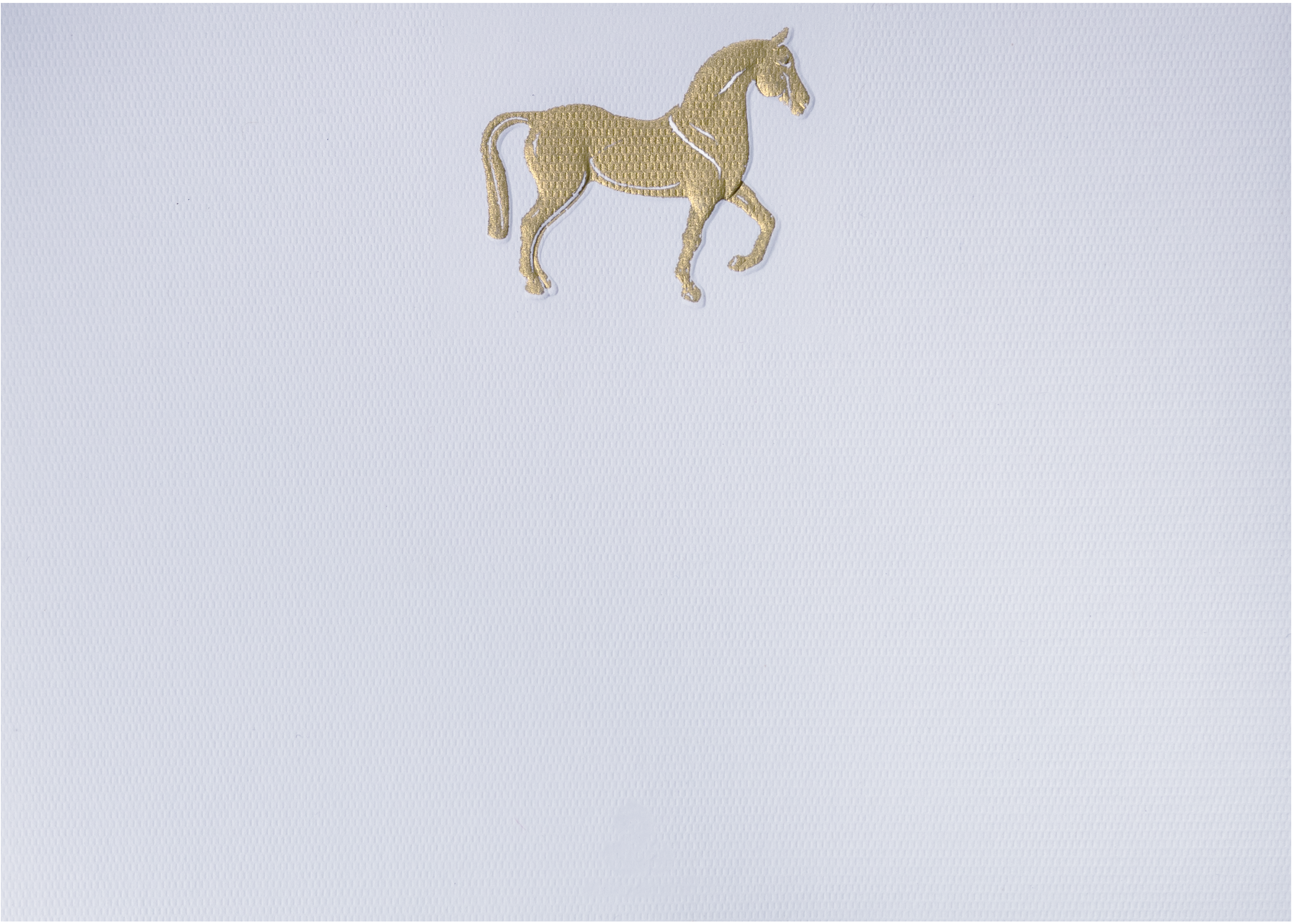 Tarjeta Caballo Mediana