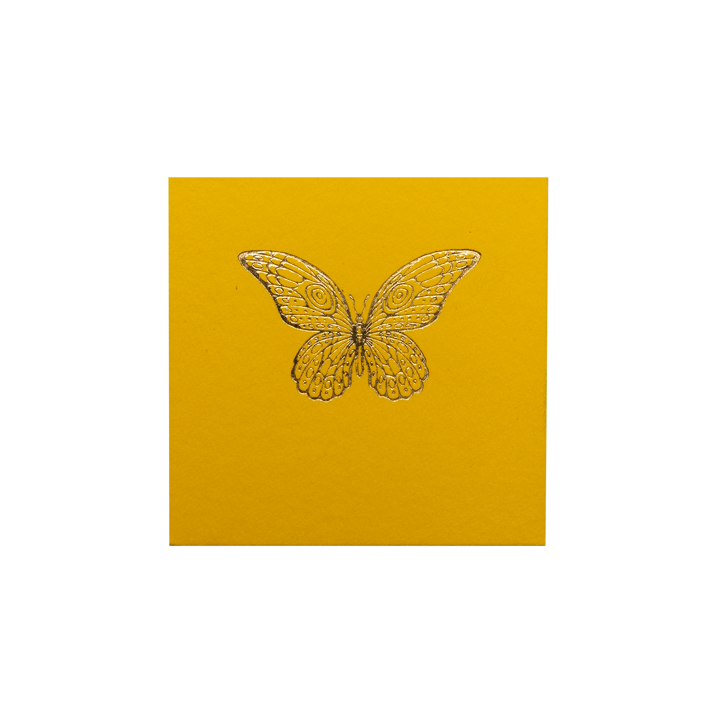 Tarjeta Mariposa Mini