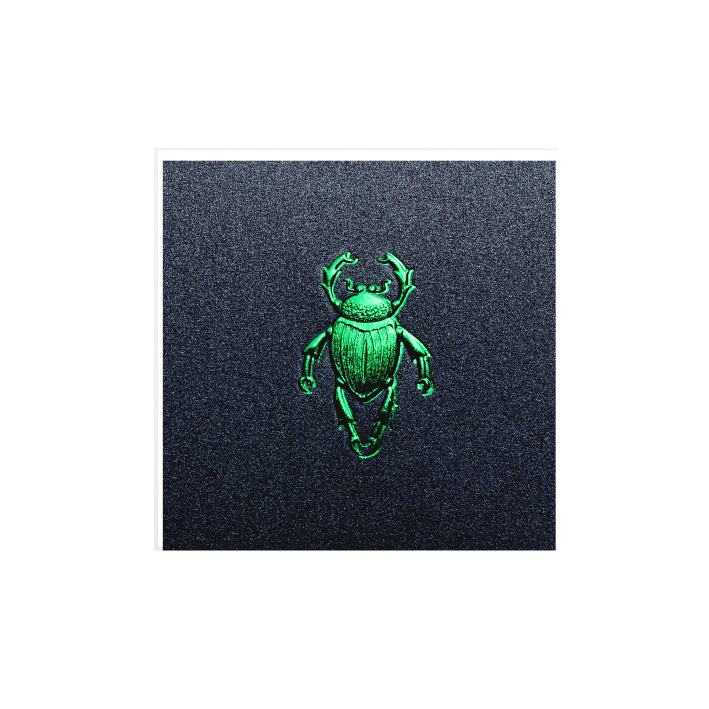 Tarjeta Escarabajo Mini D