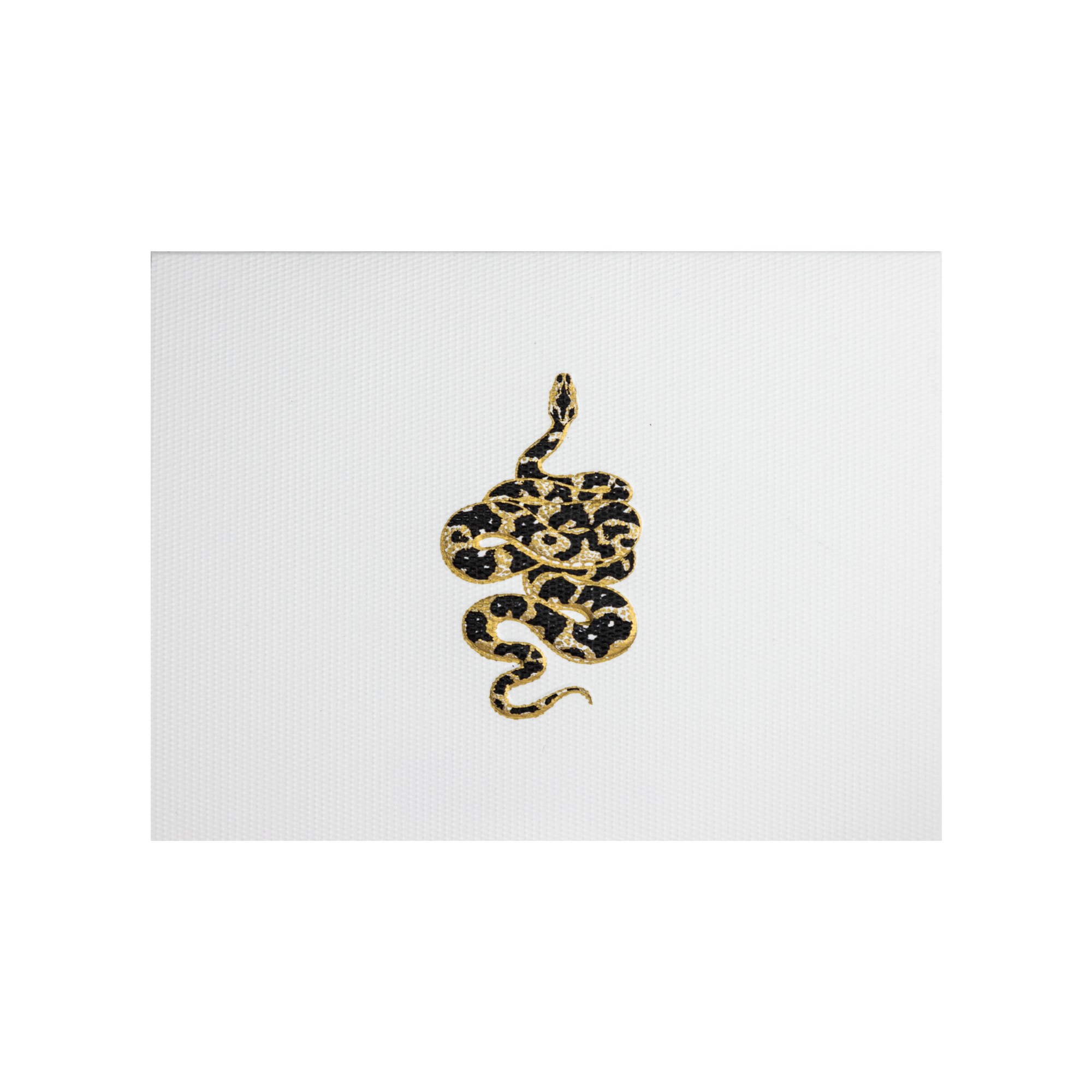 Tarjetas Serpiente Chica Doble | NATURALEZA | Scribanus