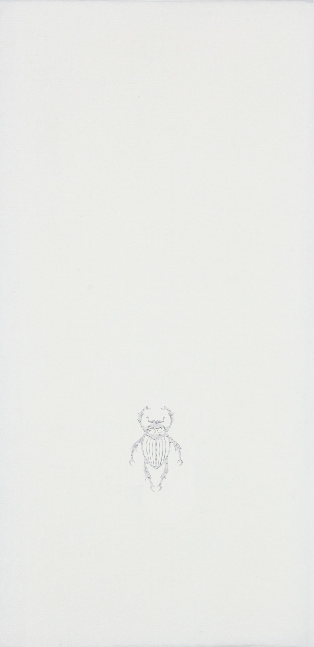 Toalla Escarabajo Paquete