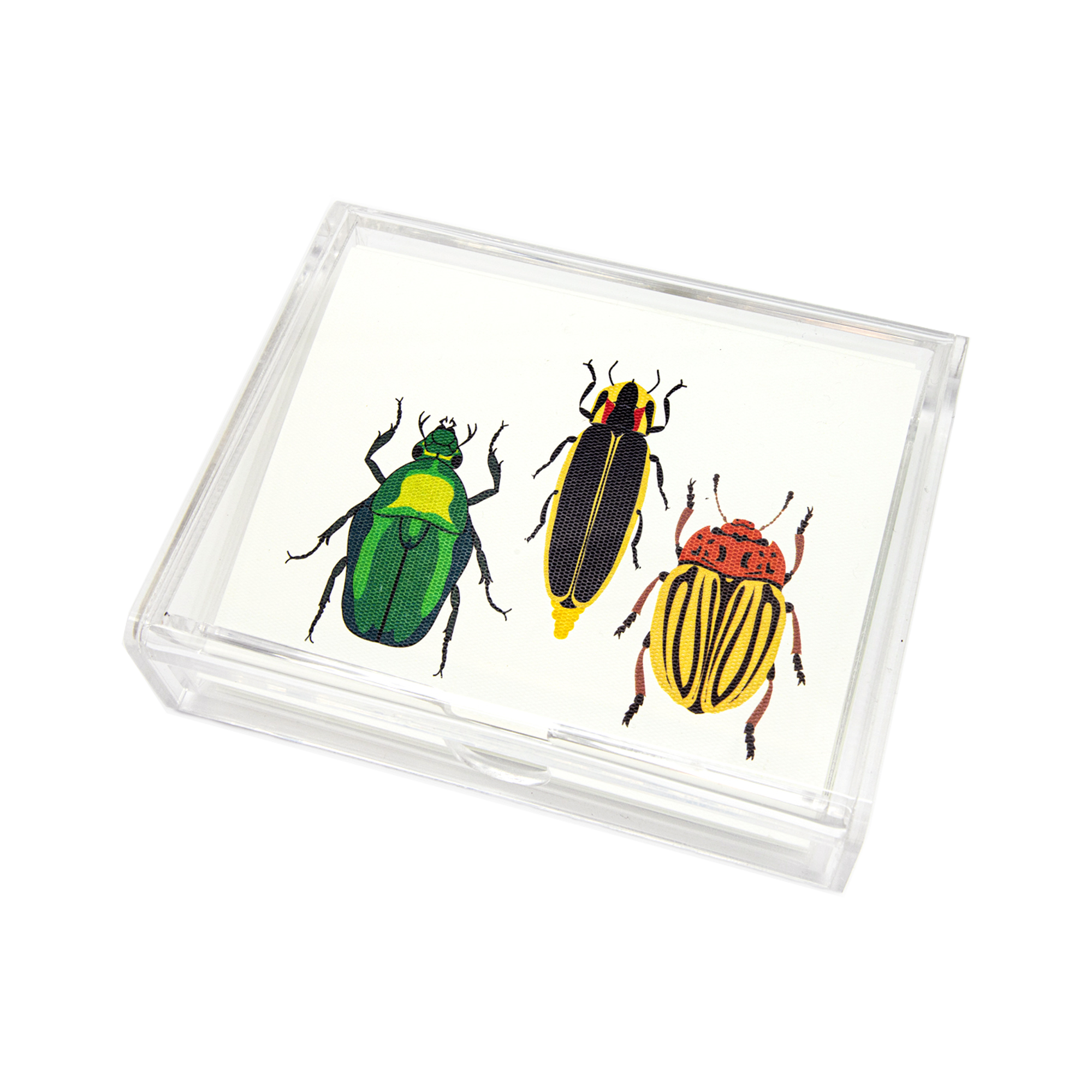 Caja Acrílico Tres bichos Print