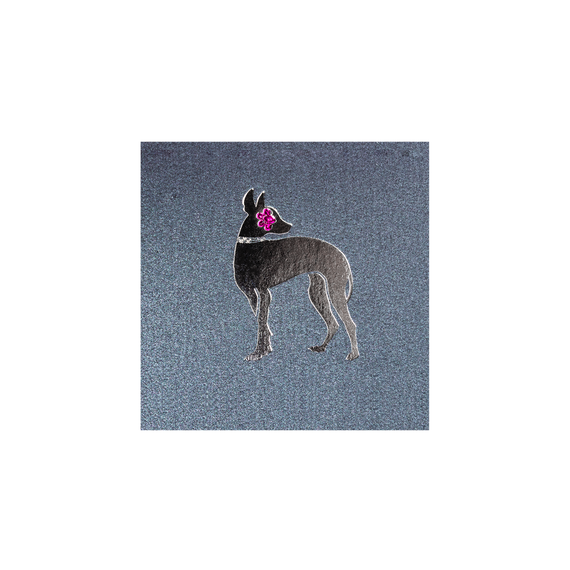 Xoloitzcuintle Mini Double Card