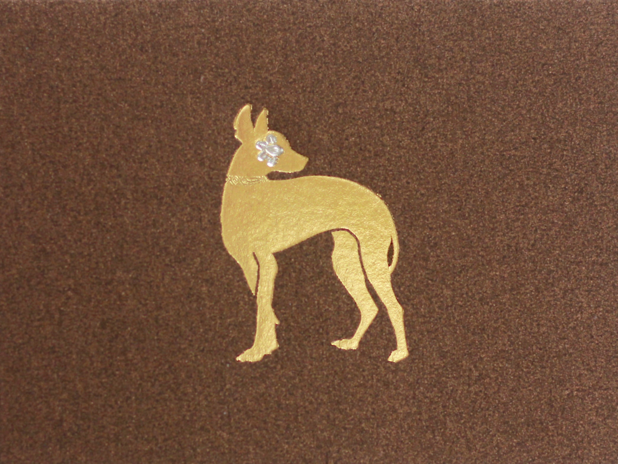 Double Xoloitzcuintle Girl Card