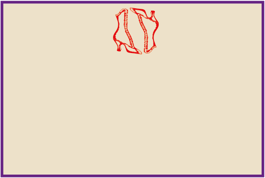 Marie Antoinette Slippers Card