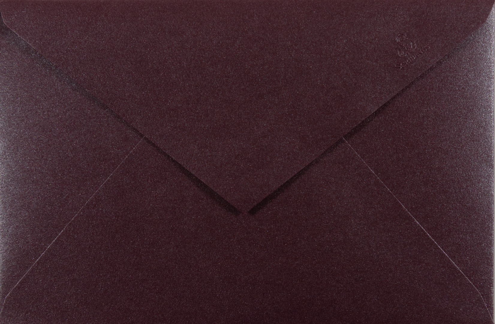 Estuche Tarjetas Bicicleta Premium