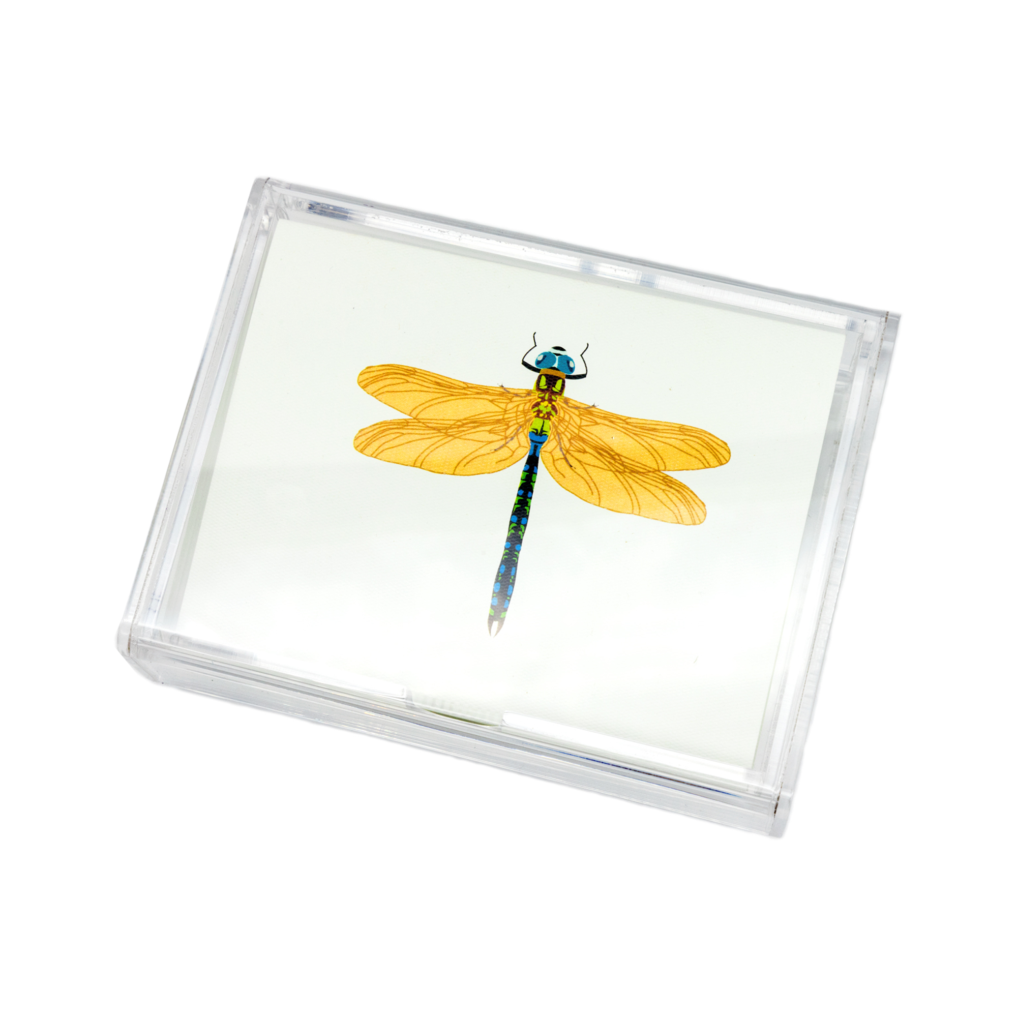 Caja Acrílico Libélula Print