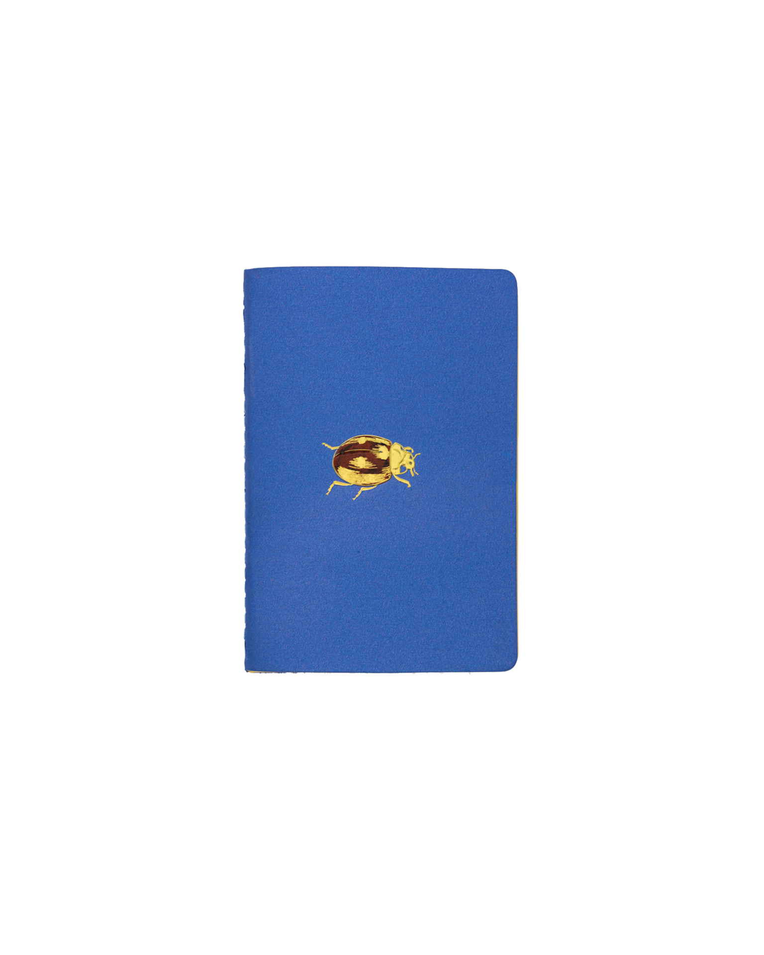 Pocket Notebook Catarina