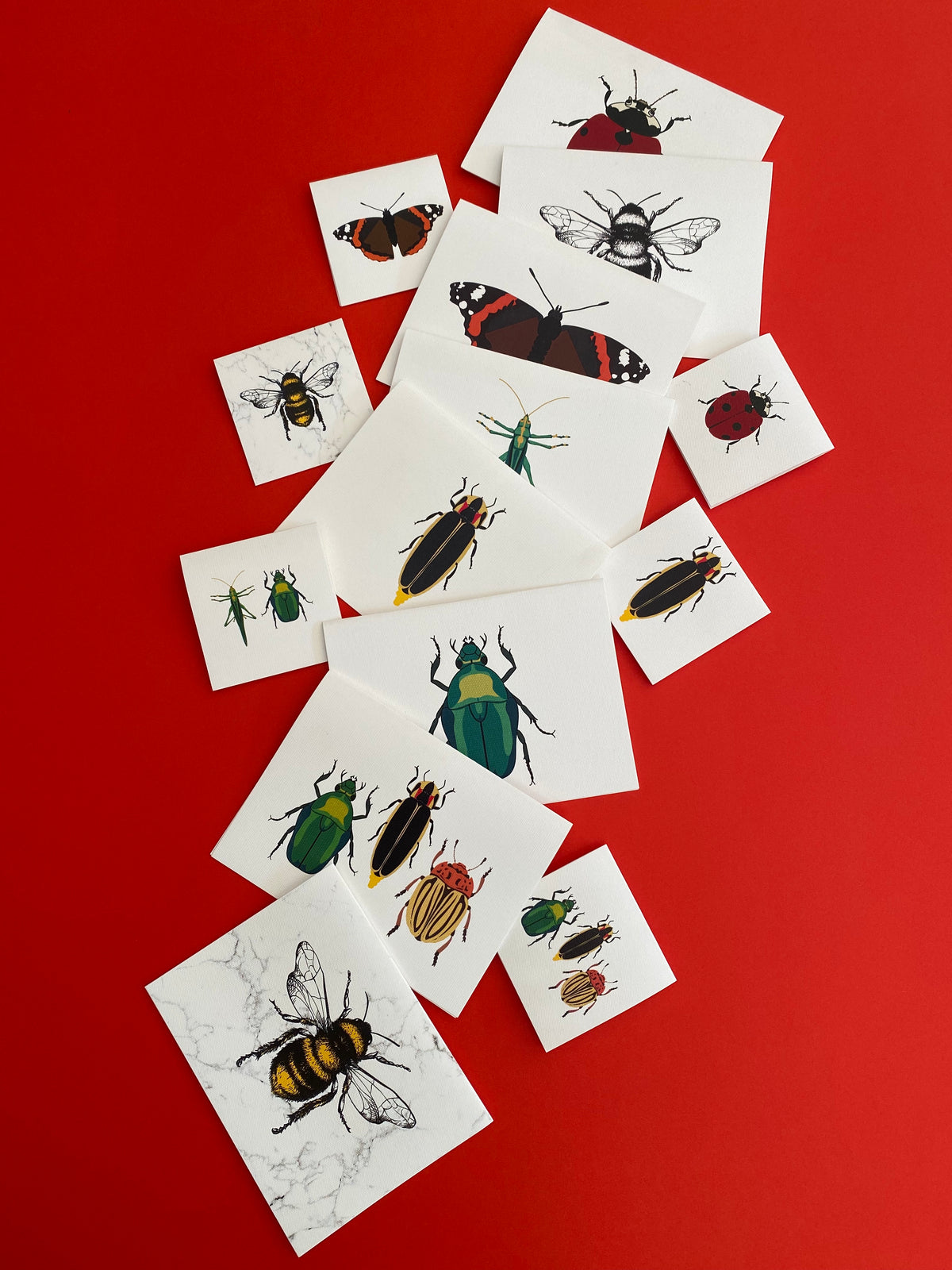 Tarjeta Mariposa Mediana