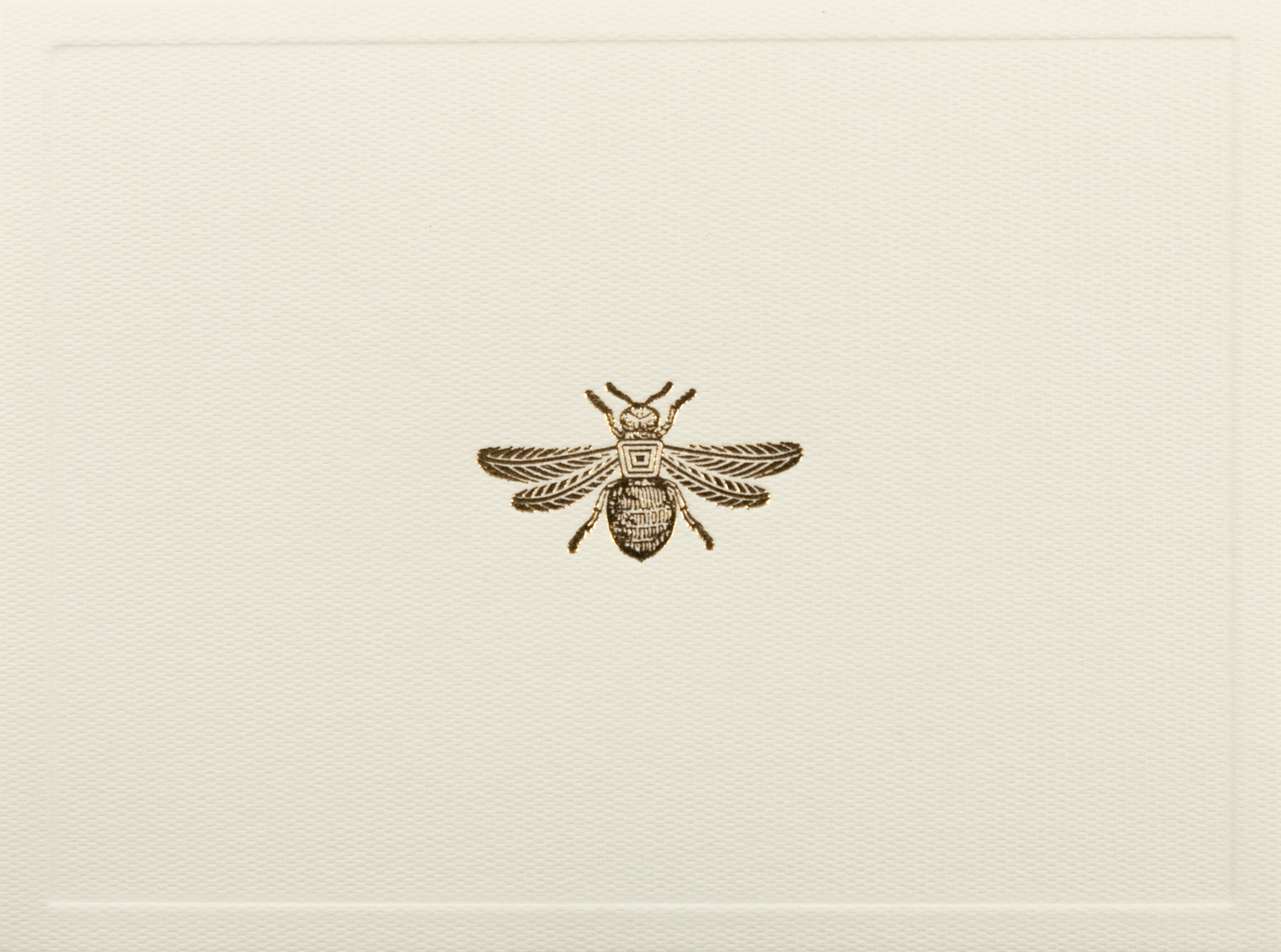 Caja Acrílico Adorno Abeja Surtido
