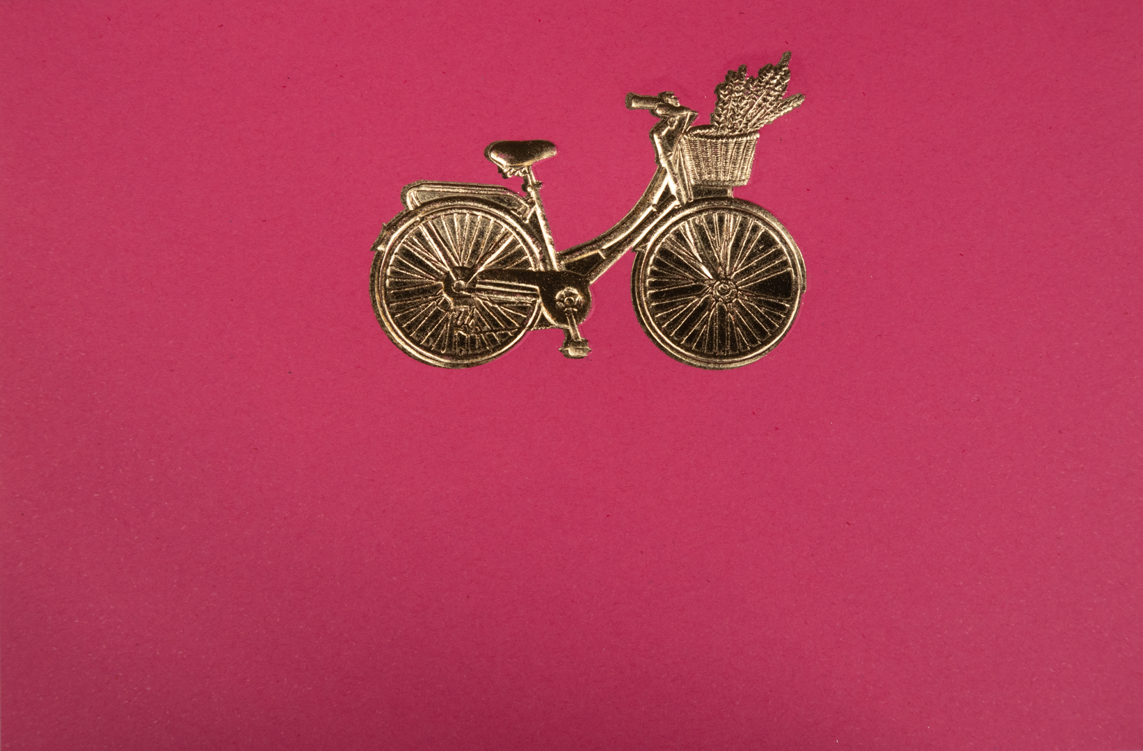 Estuche Tarjetas Bicicleta
