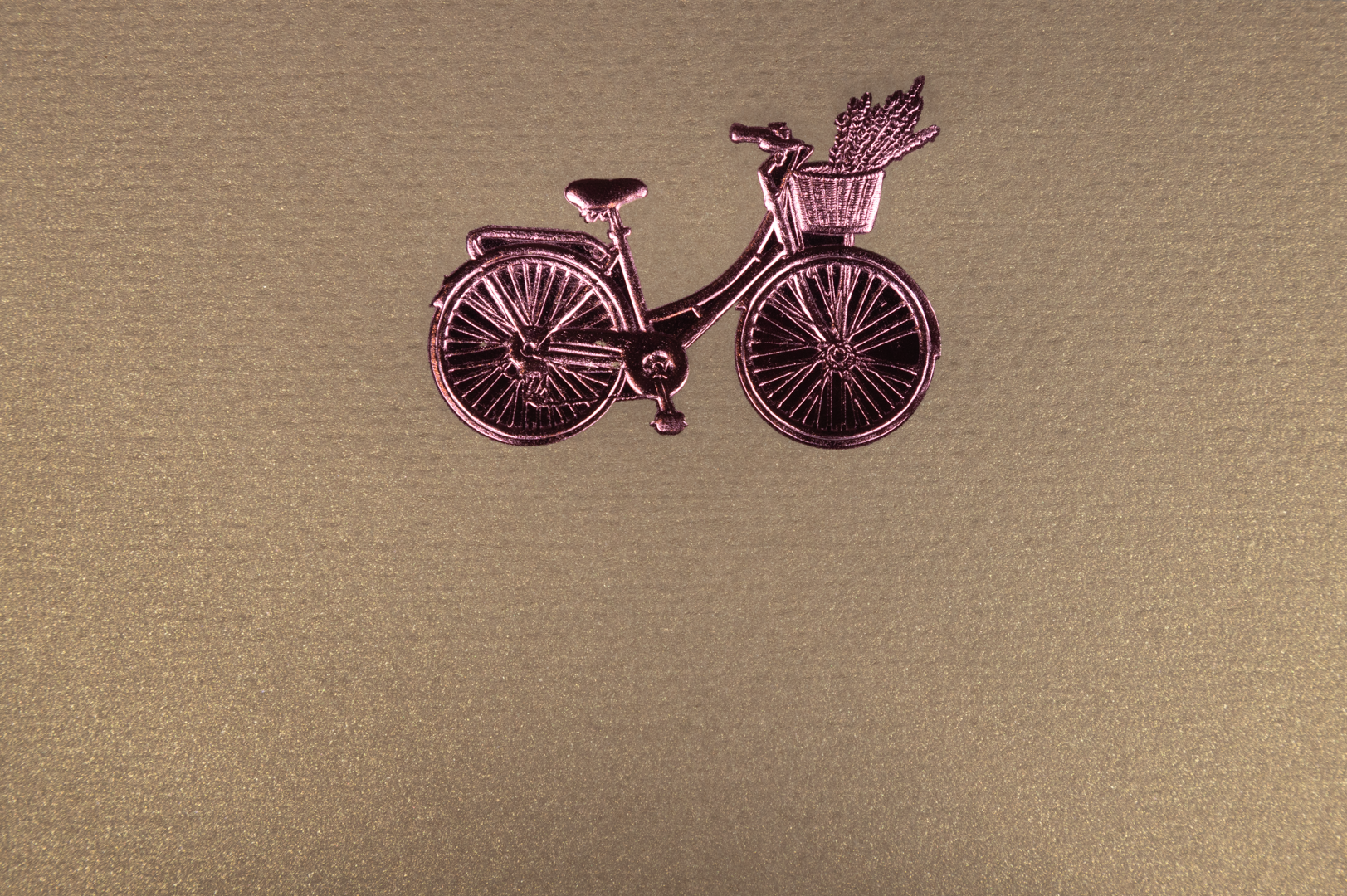 Estuche Tarjetas Bicicleta