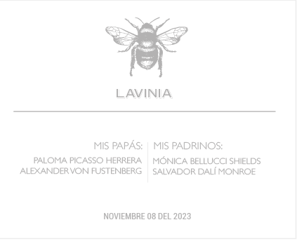 Bolo Abeja plata estuche acrílico | C: Bolos | Scribanus