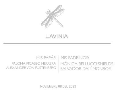 Bolo Libélula plateada estuche acrílico | C: Bolos | Scribanus