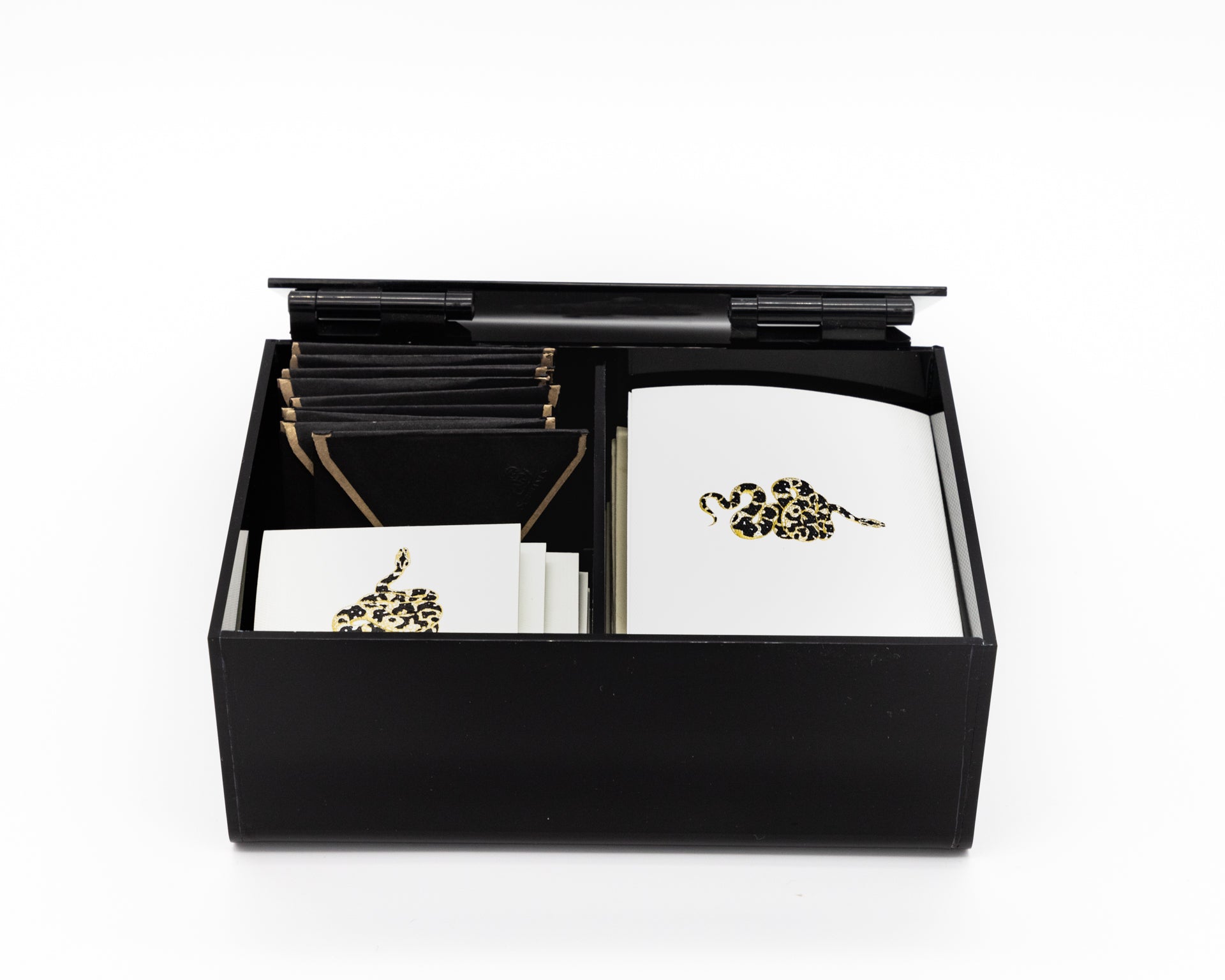 Caja Acrílico Lux Chica Surtido Serpiente