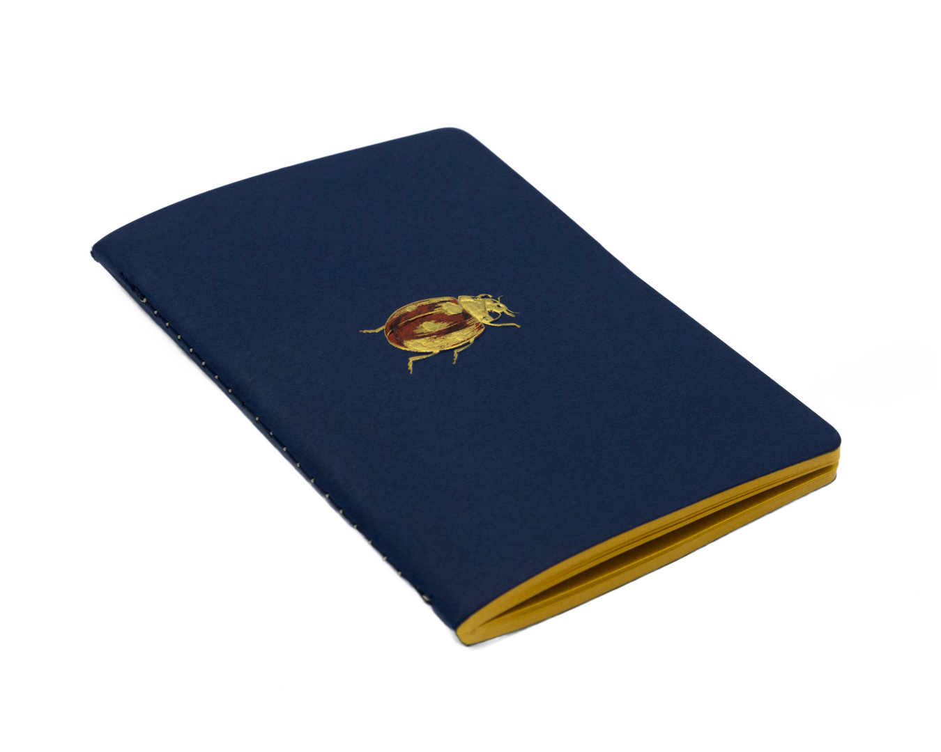 Pocket Notebook Catarina