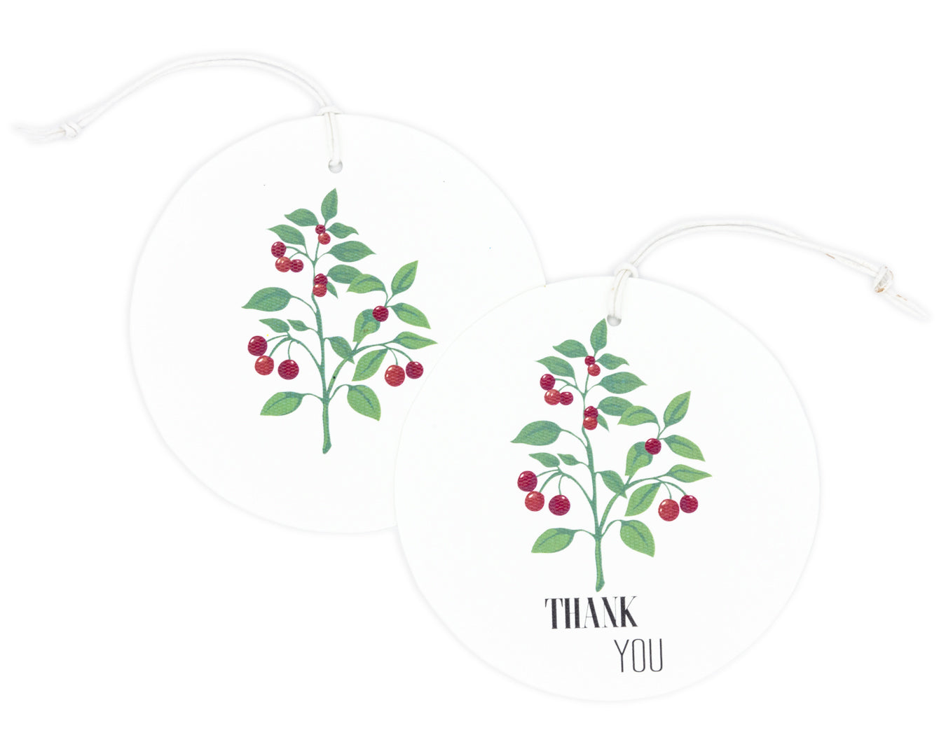 Caja Acrílico Medallones Botánico