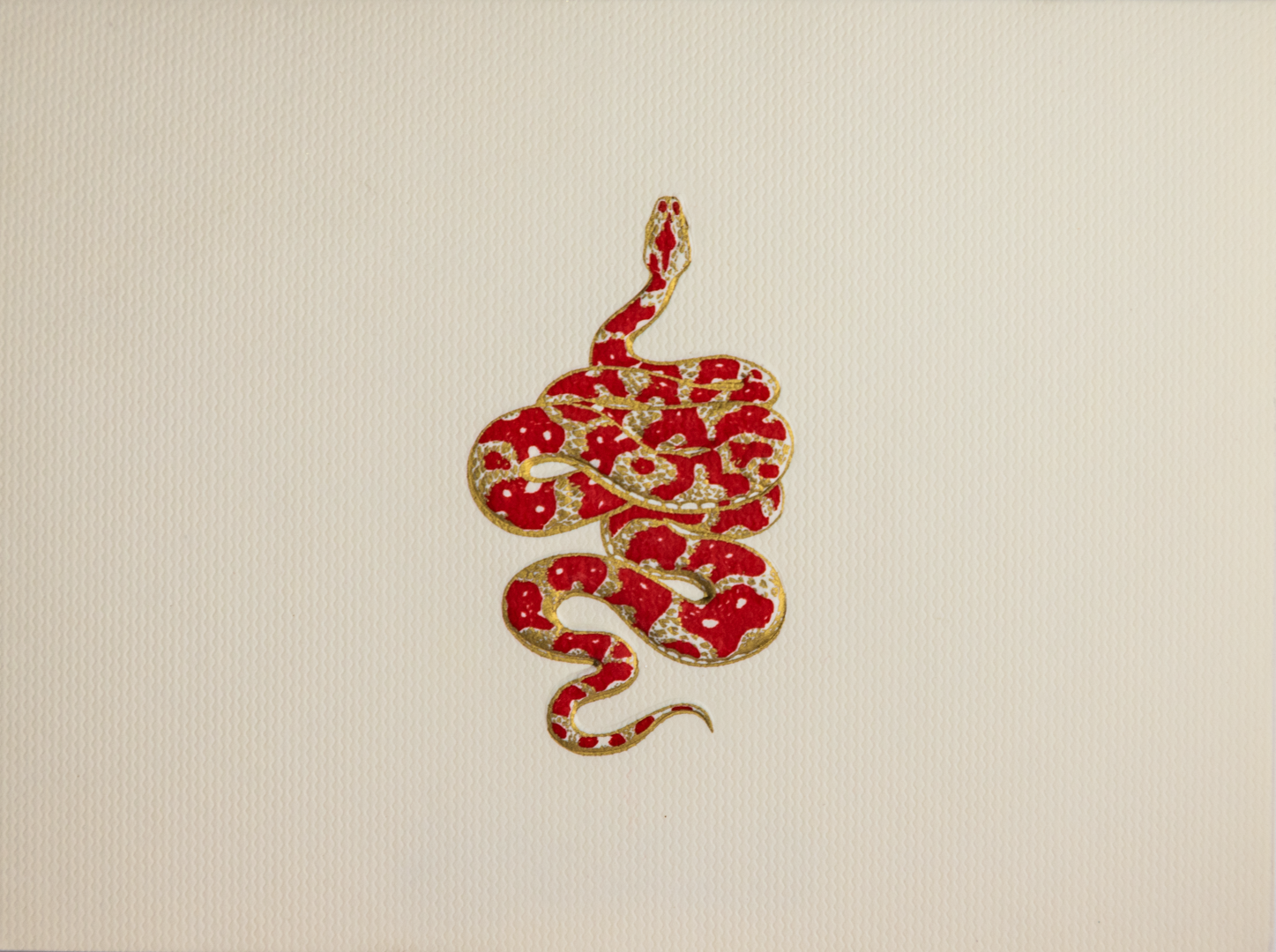 Caja Acrílico Lux Serpiente