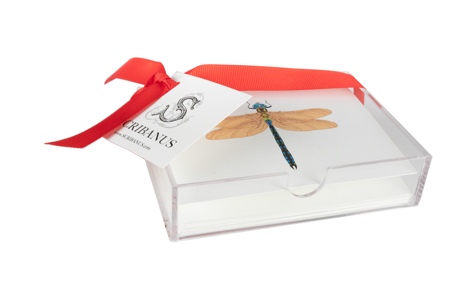 Bolo Tray Cards Dragonfly Print