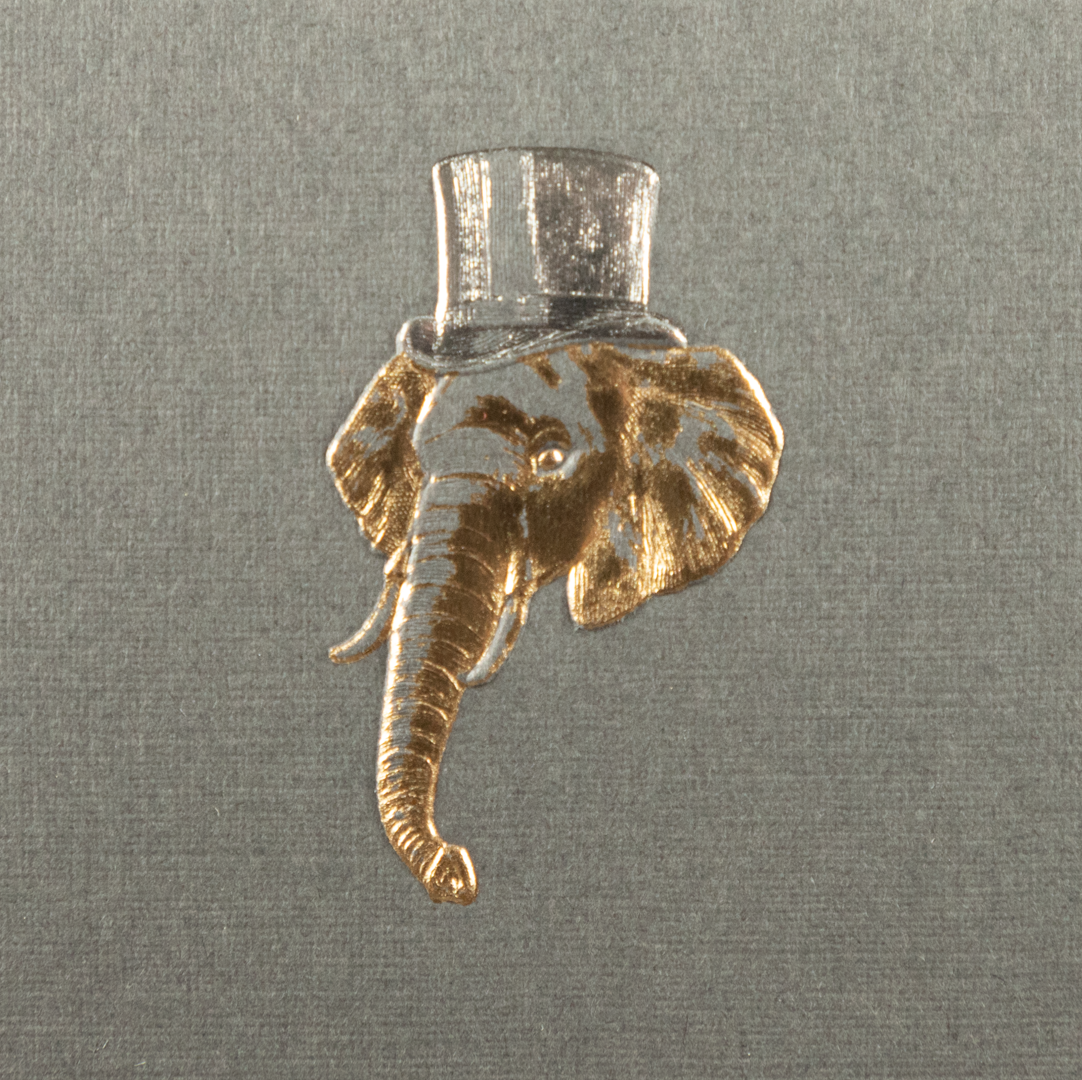 Estuche Tarjetas Surtido