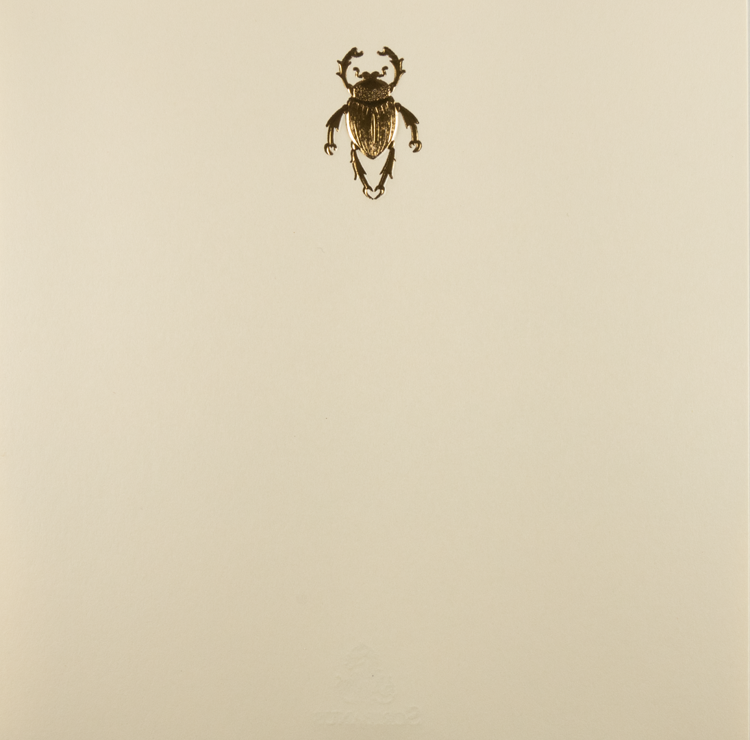 Caja Baño Plata Escarabajo