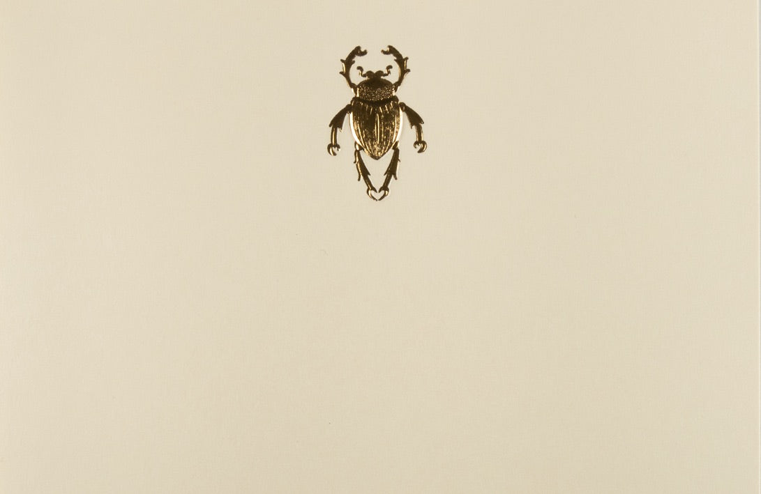Caja Baño Plata Escarabajo