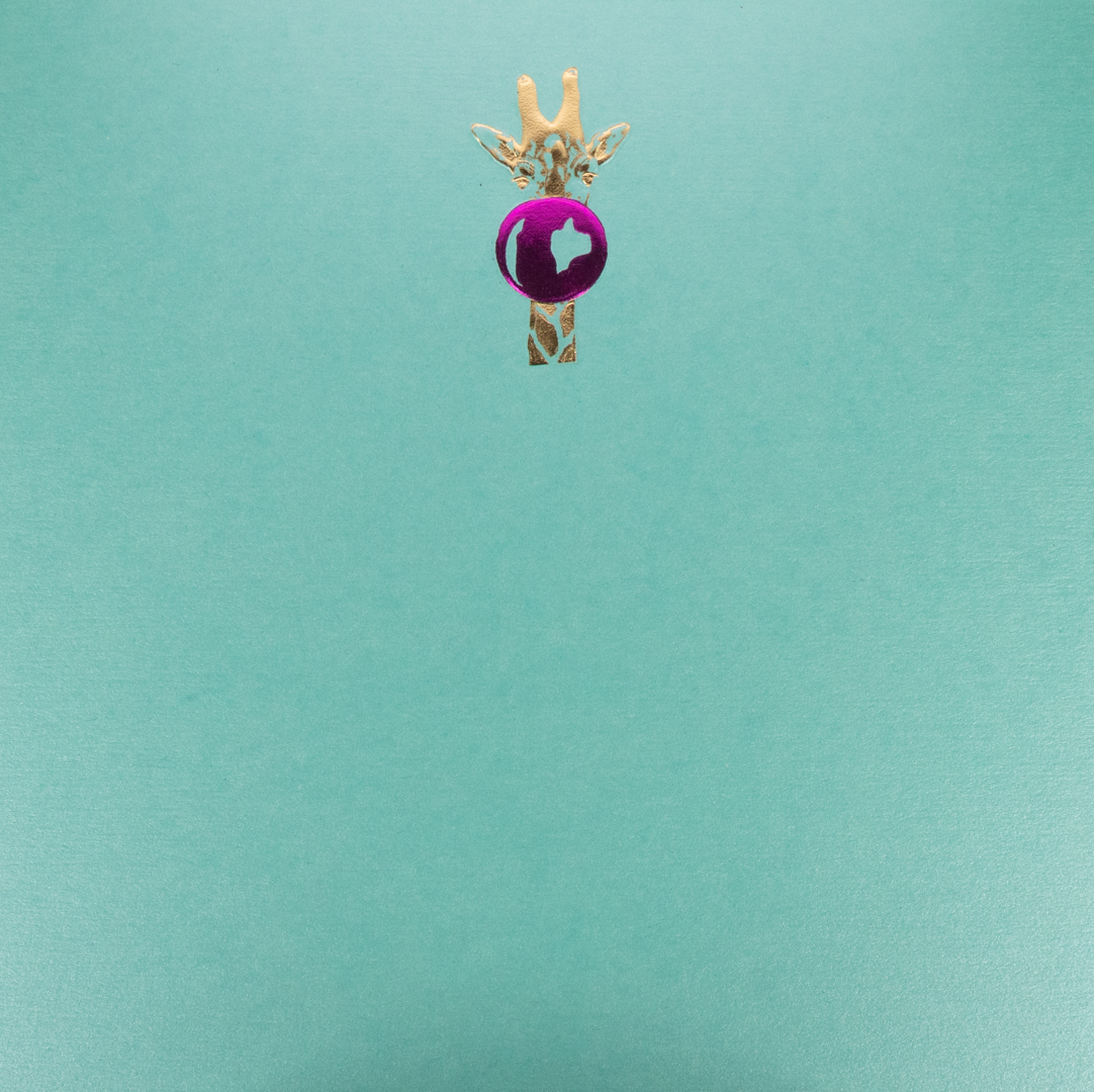 Caja Baño Plata Jirafa