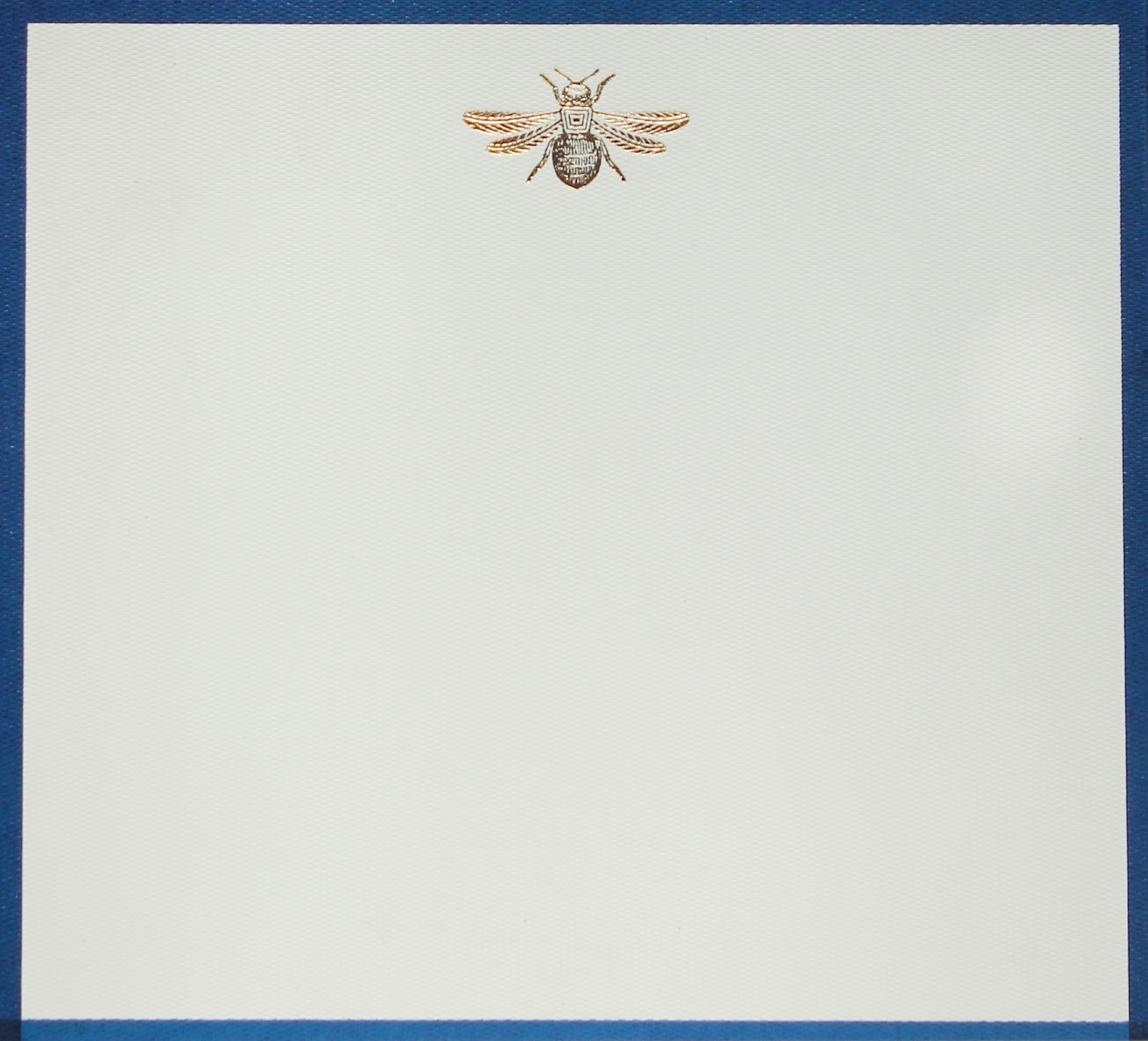 Caja Baño Plata Abeja