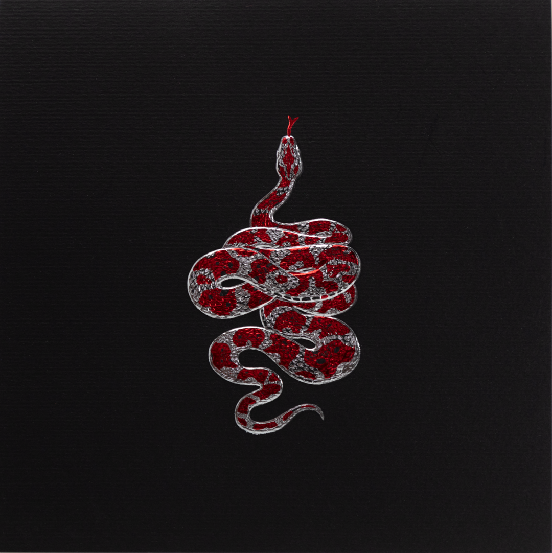 Caja Baño Plata Serpiente