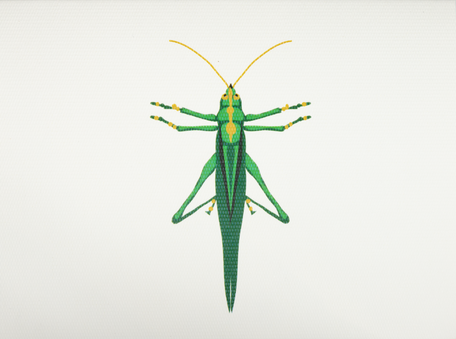 Caja Acrílica con Tarjetas de Grillo + Adorno