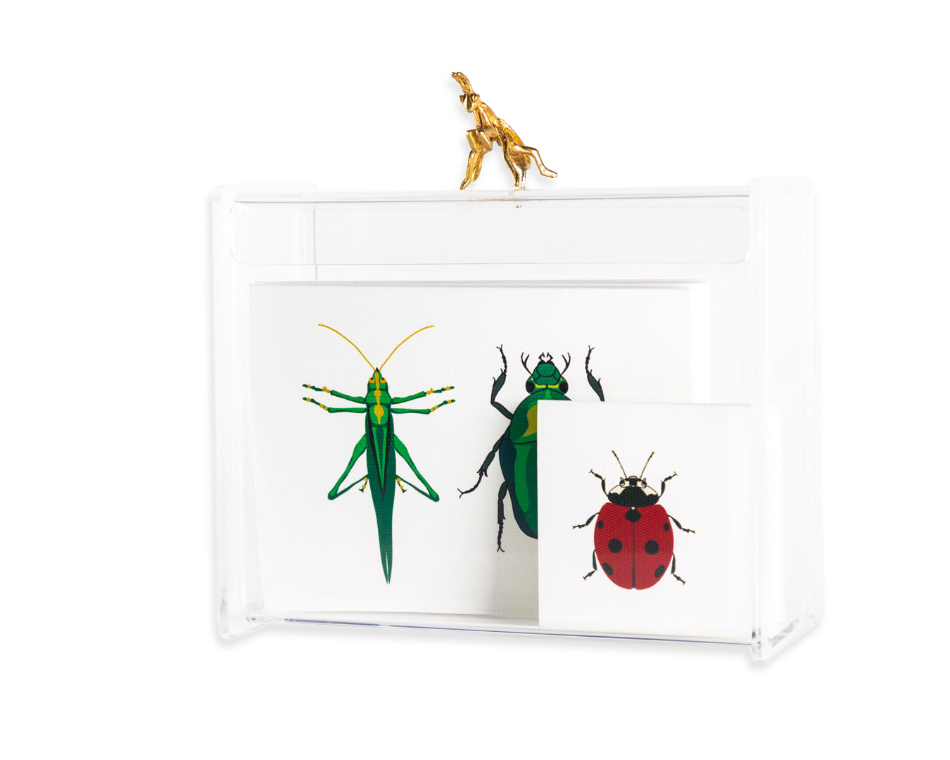 Caja Acrílica con Tarjetas Insectos + Adorno