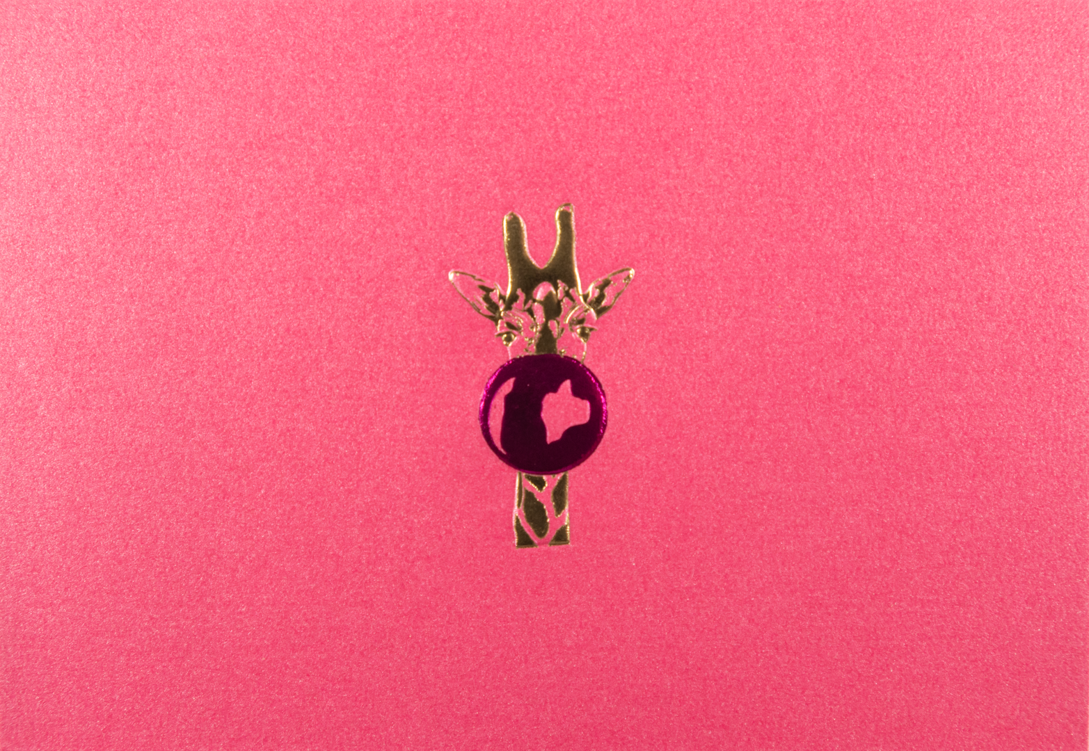 Estuche Tarjetas Jirafa