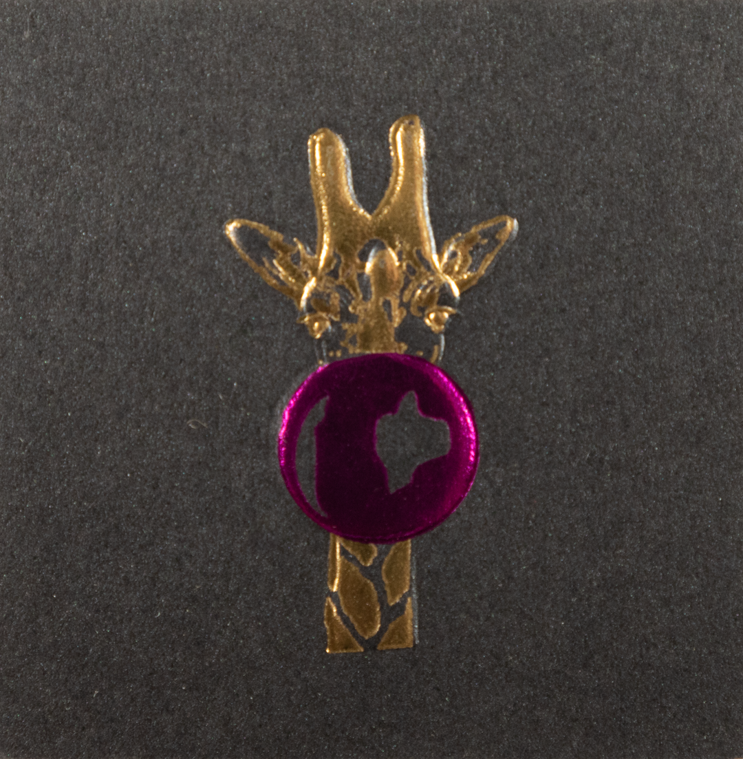 Estuche Tarjetas Surtido