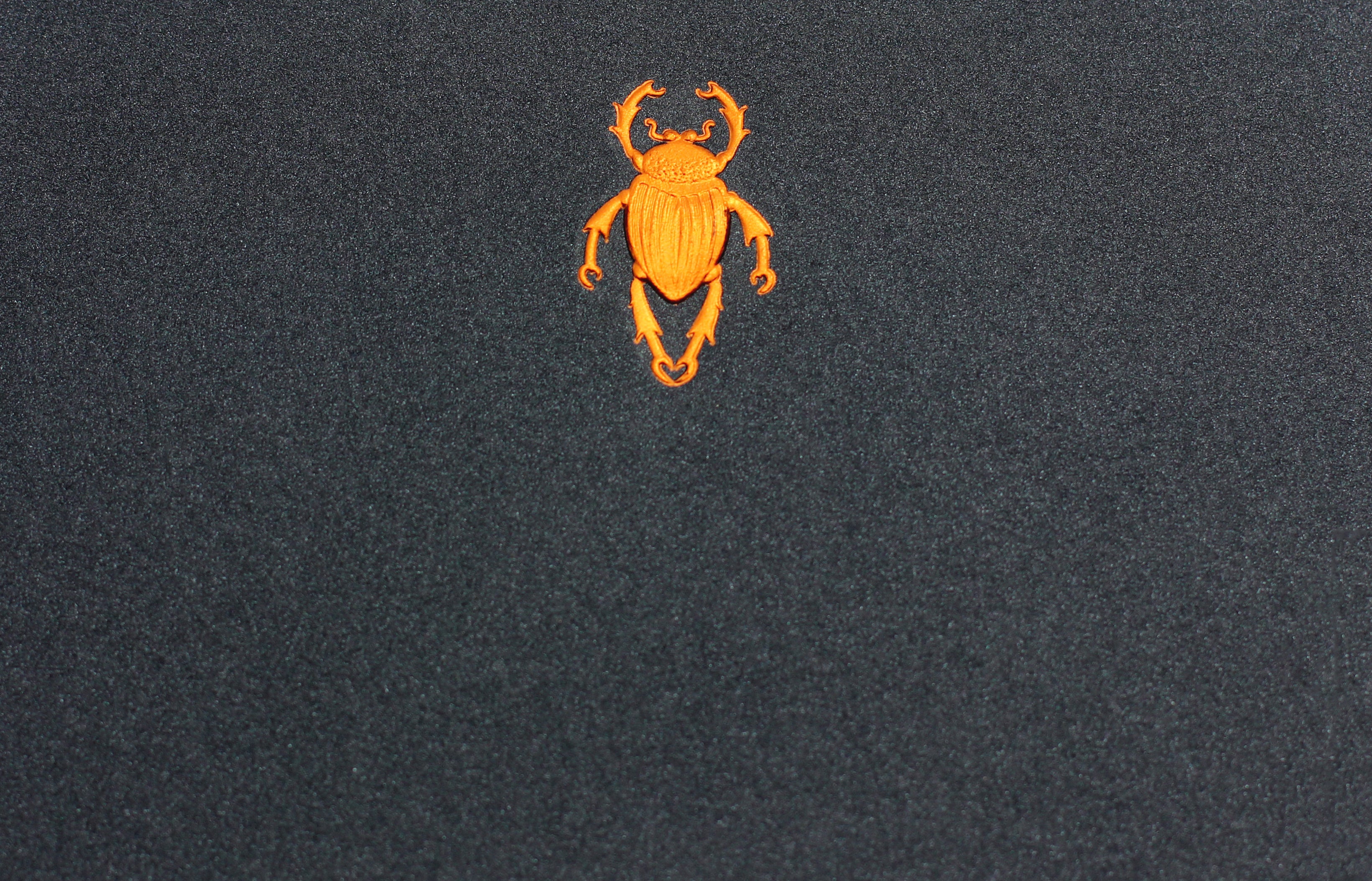 Estuche Tarjetas Escarabajo