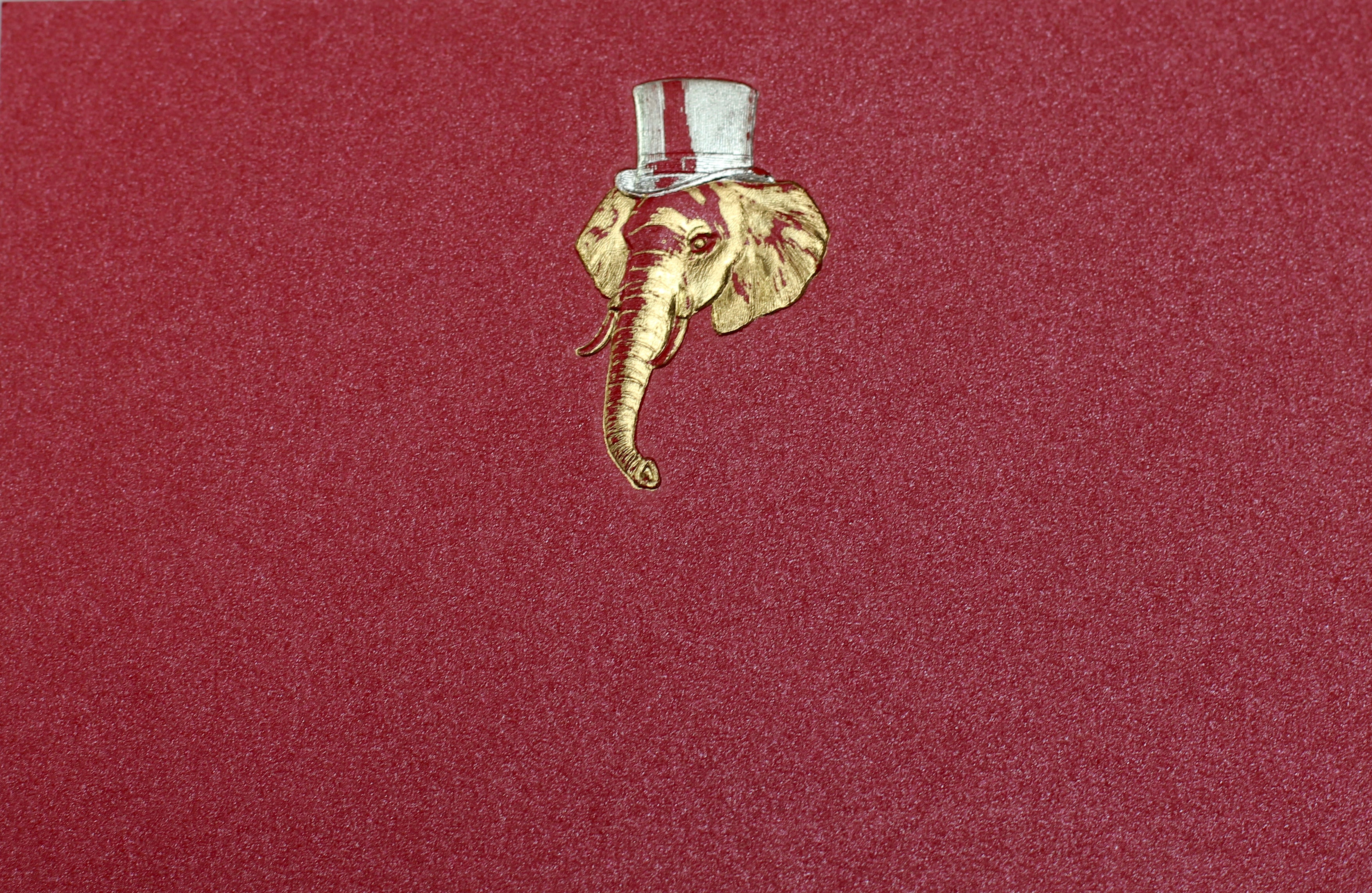 Caja Baño Plata Elefante