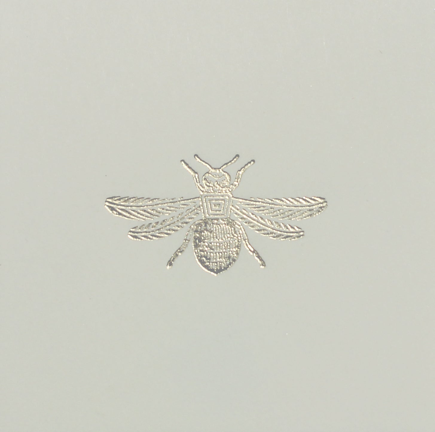 Caja Acrílico Adorno Abeja Surtido