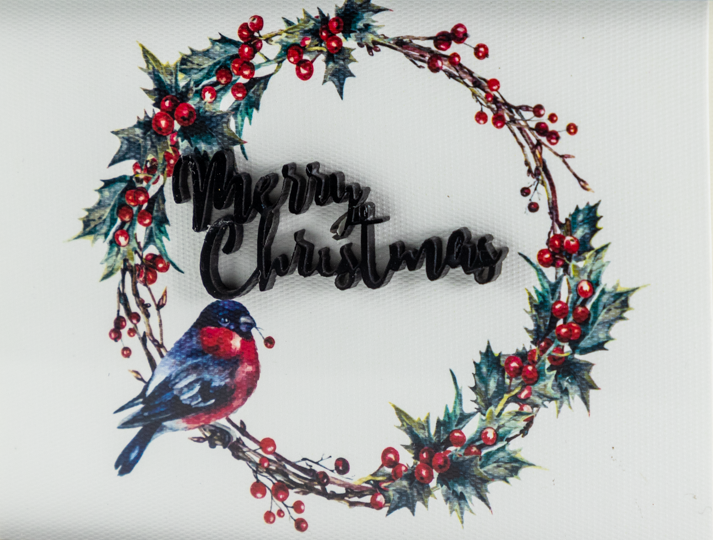 Caja Acrílico Pájaro Corona Realce